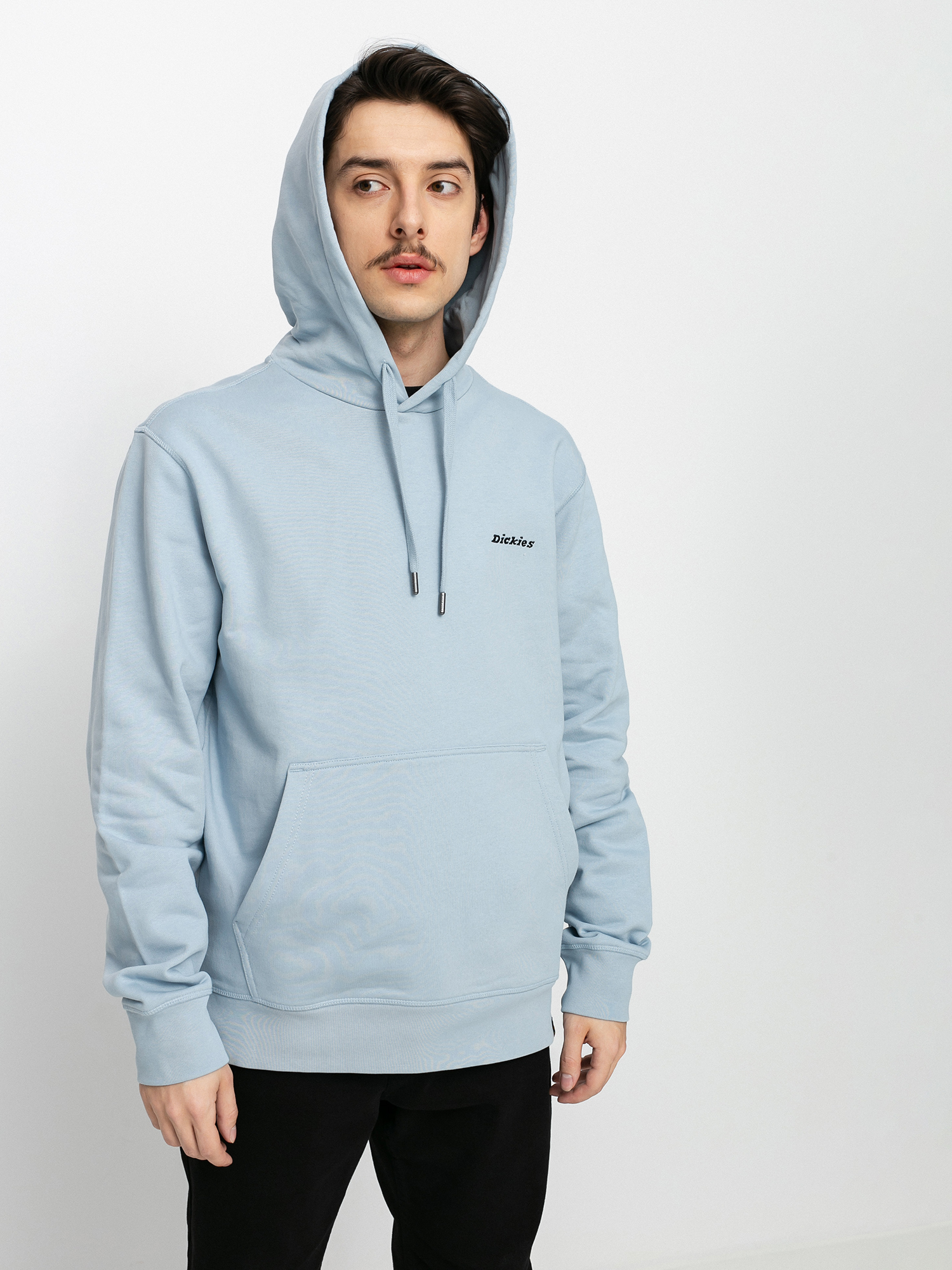 Bluza z kapturem Dickies Loretto HD (fog blue)
