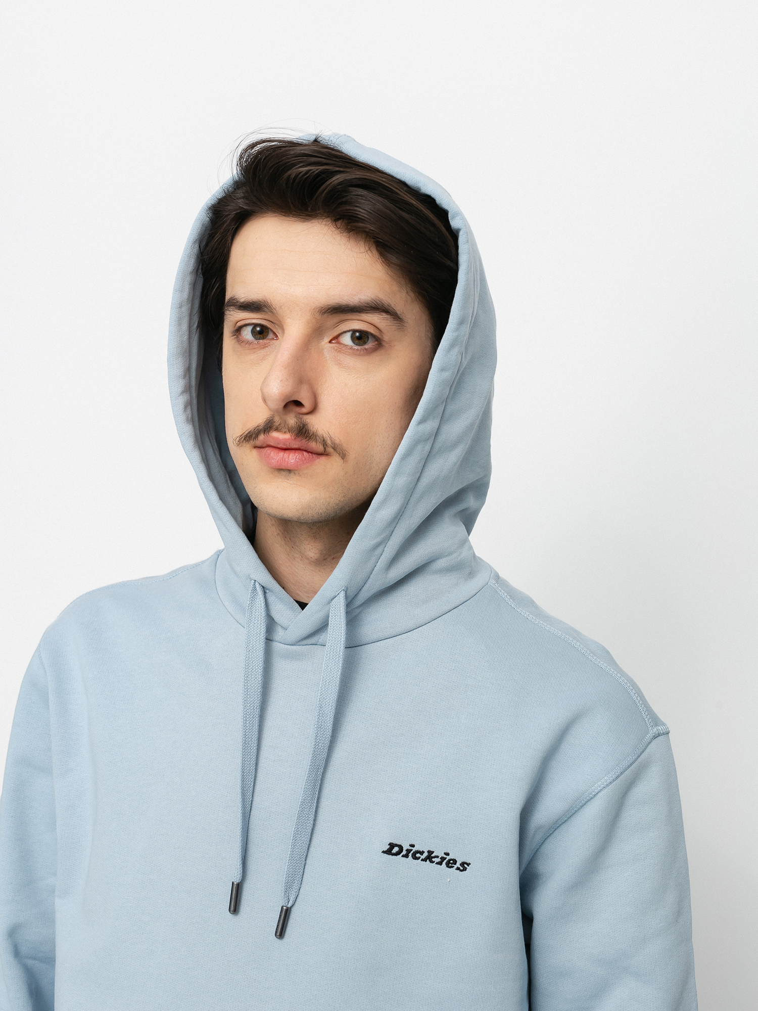 Bluza z kapturem Dickies Loretto HD (fog blue)