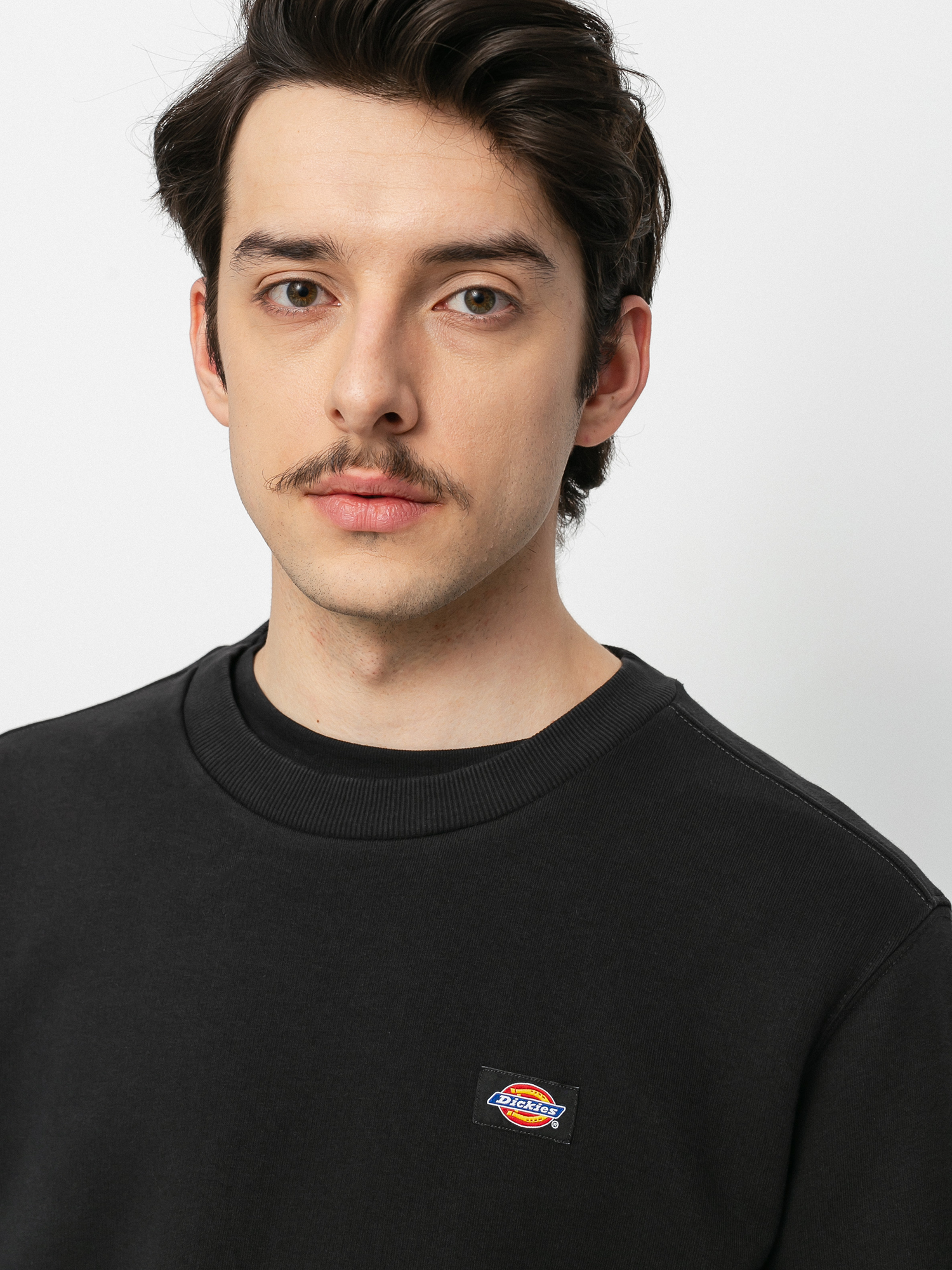 Bluza Dickies Oakport (black)