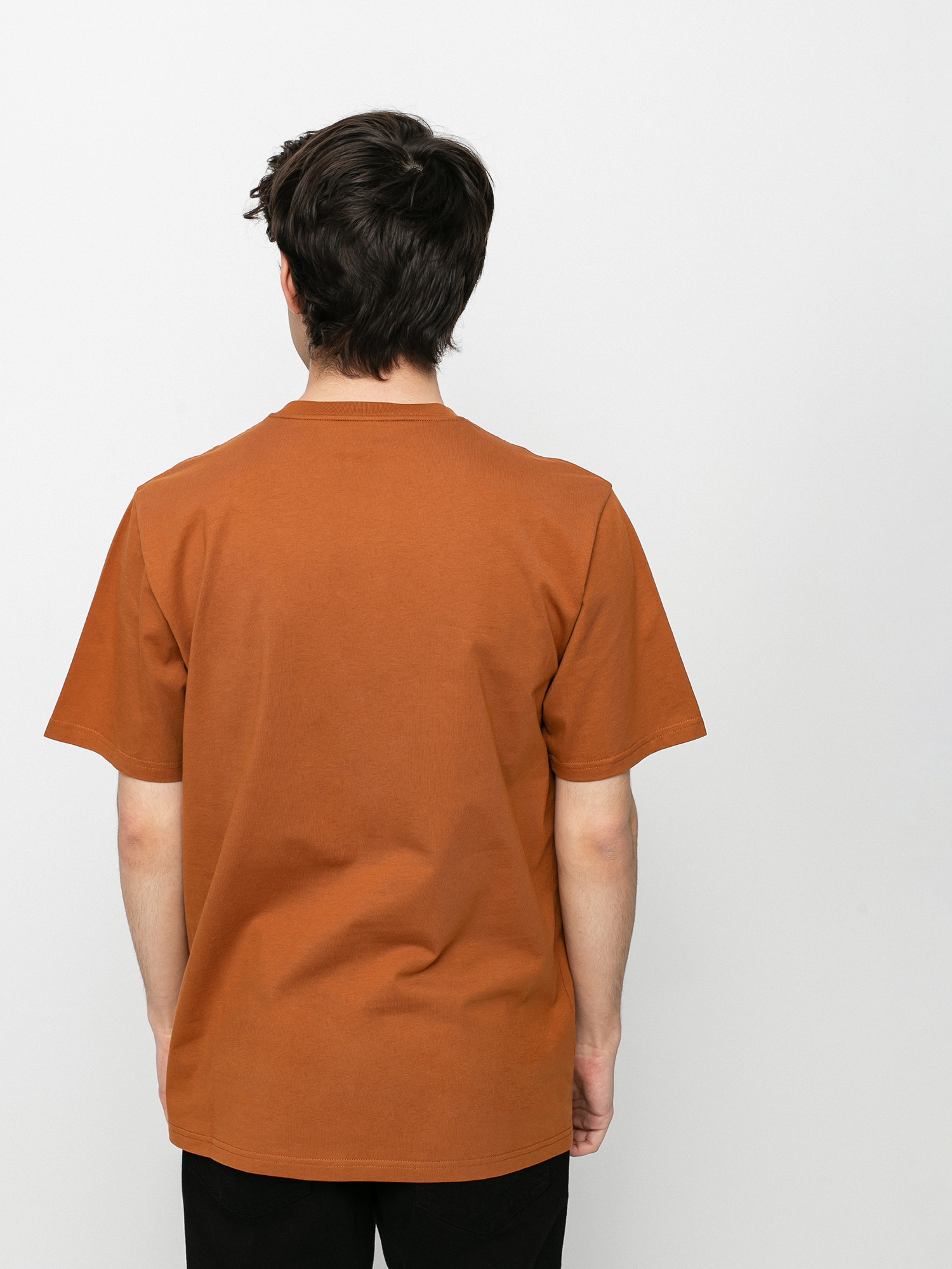 T-shirt Carhartt WIP Script (rum/black)