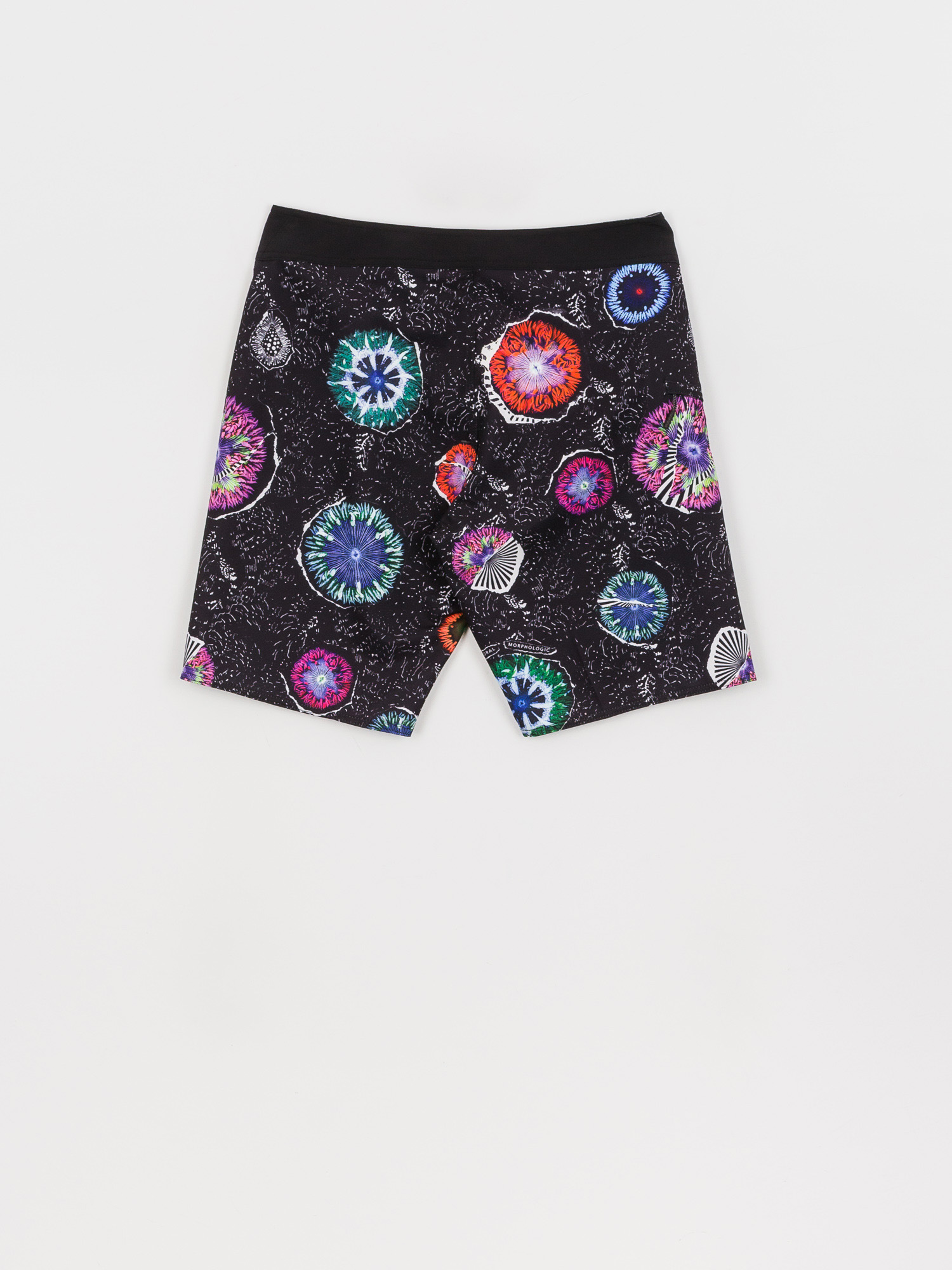 Boardshorty Volcom Coral Morph 20 (black)
