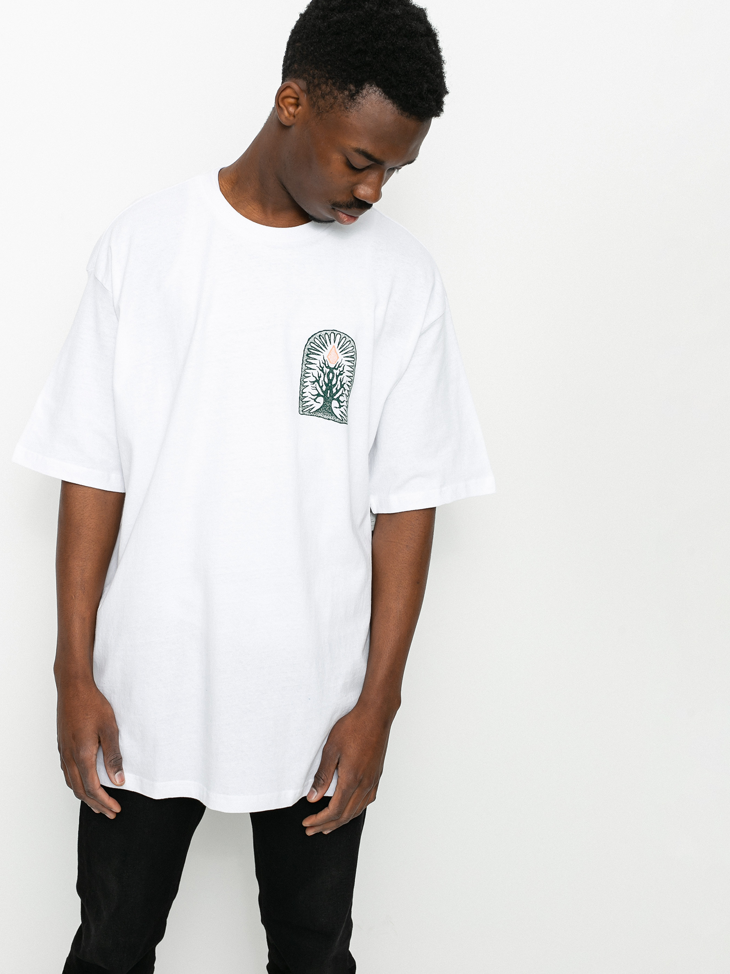 T-shirt Volcom Rootsy (white)