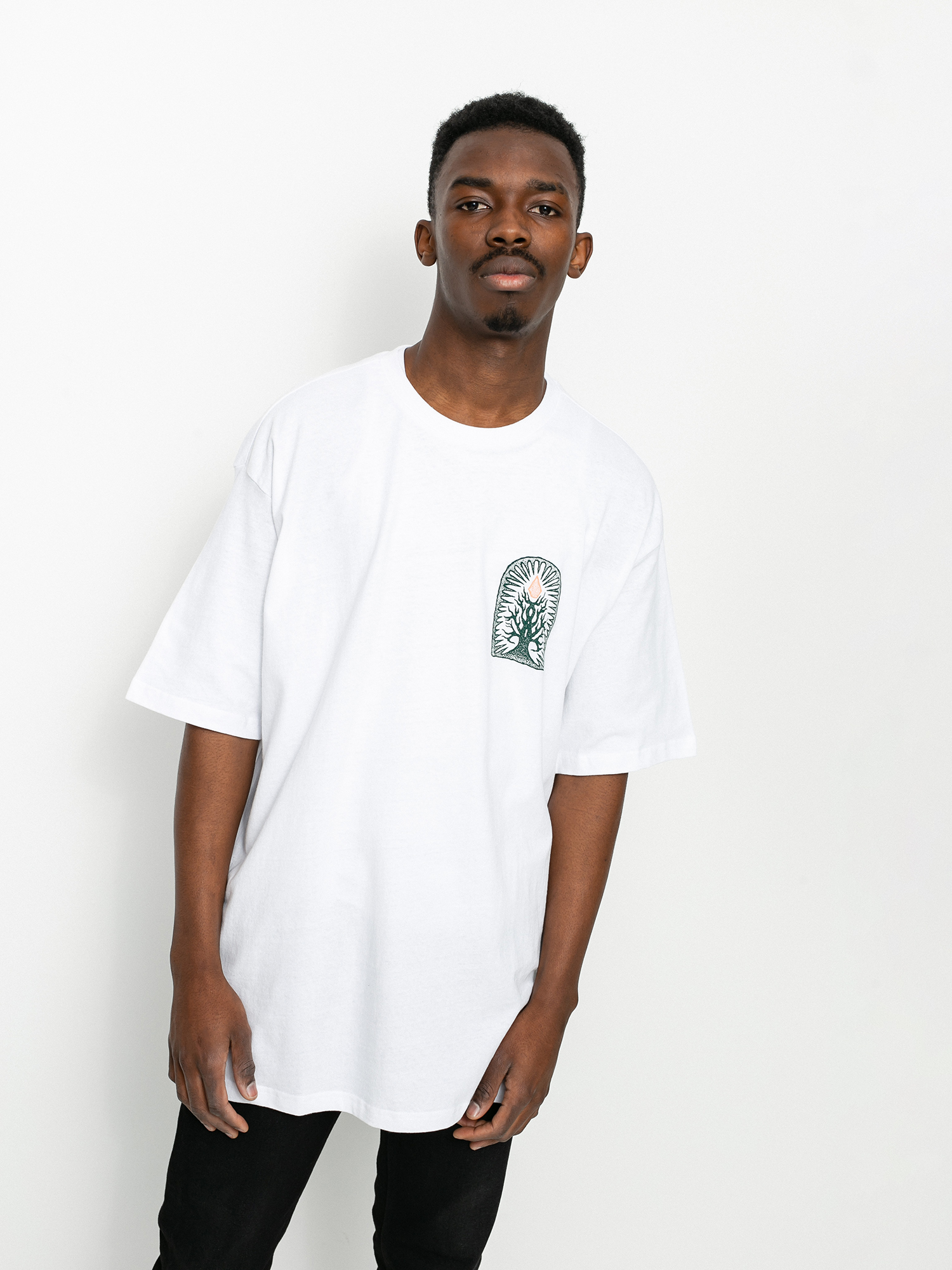 T-shirt Volcom Rootsy (white)