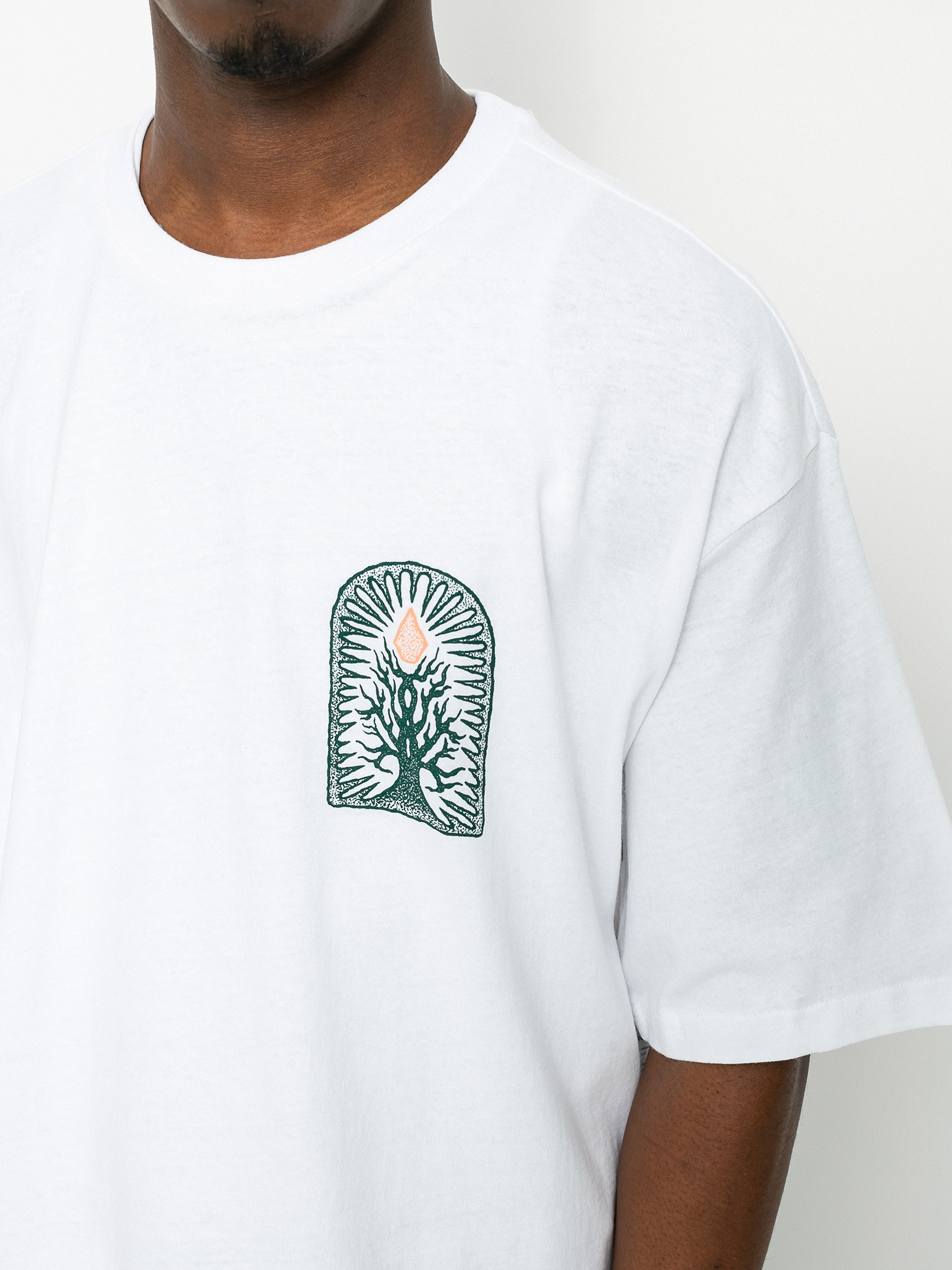 T-shirt Volcom Rootsy (white)