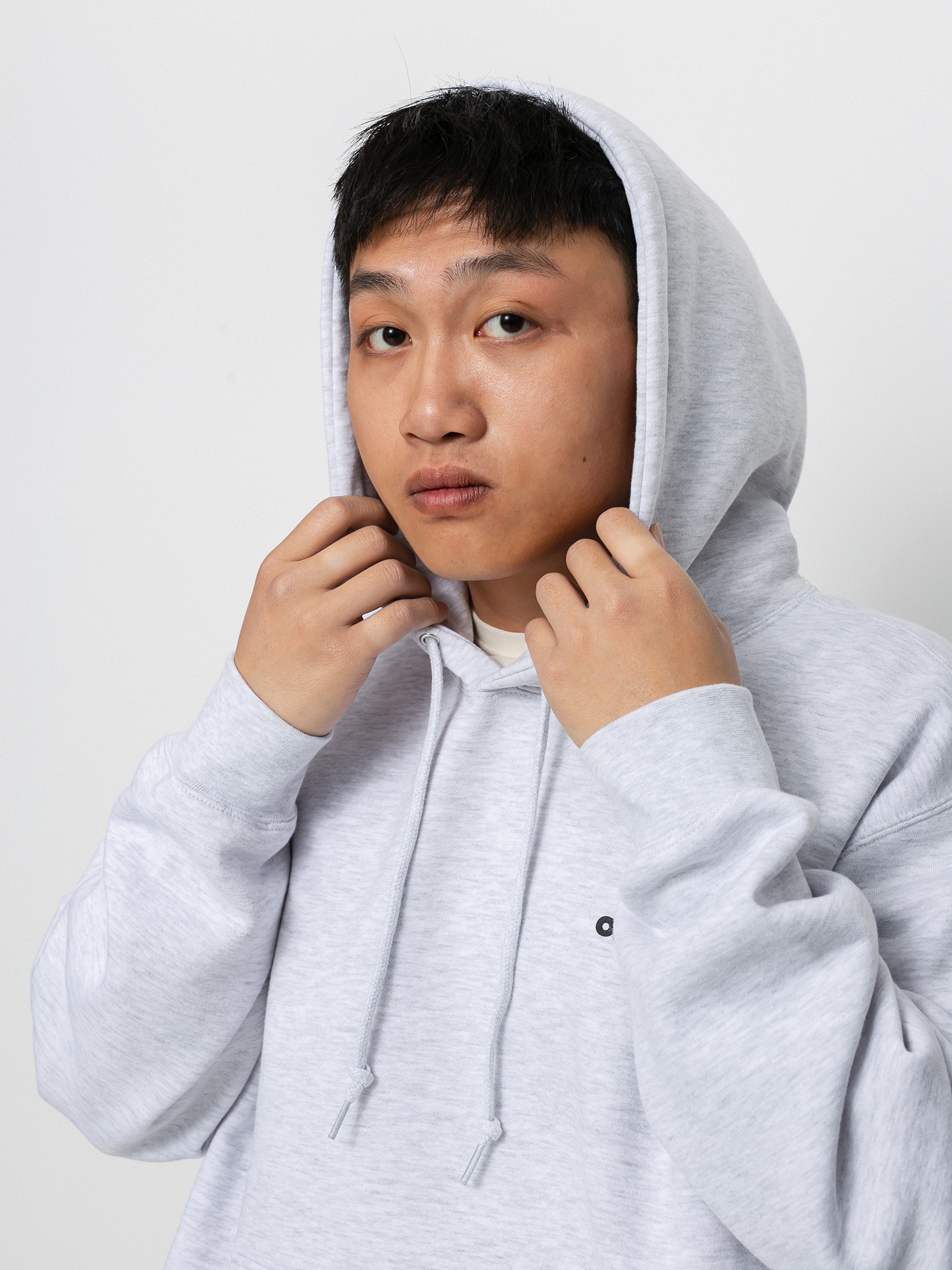 Bluza z kapturem OBEY Beast Of Burden HD (ash grey)