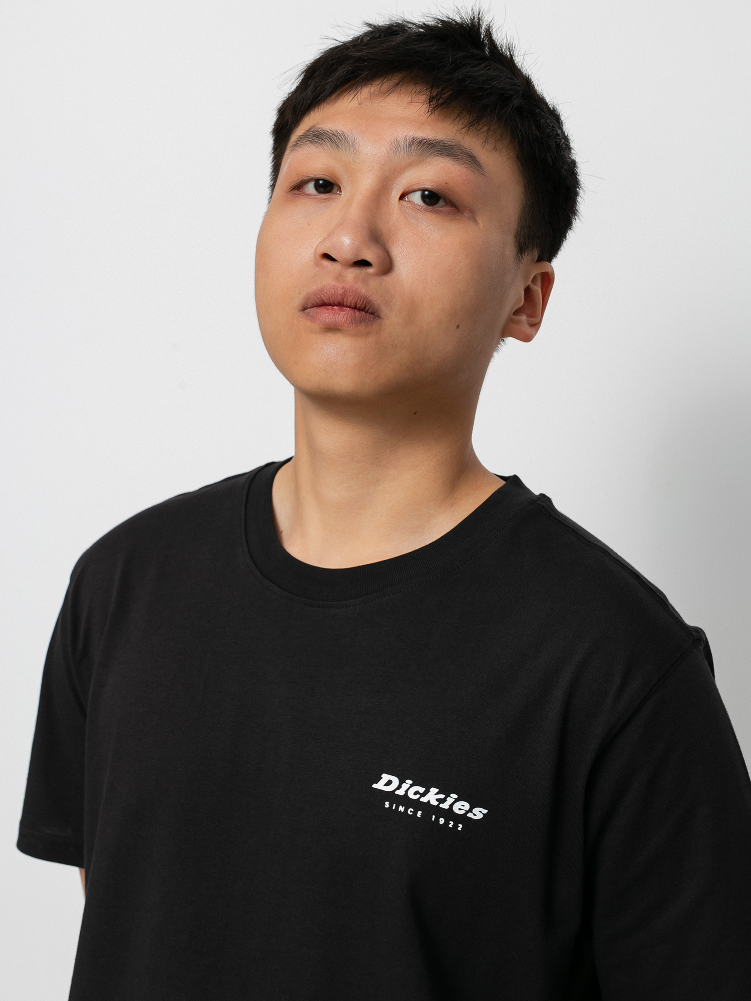 T-shirt Dickies Quaba Box (black)