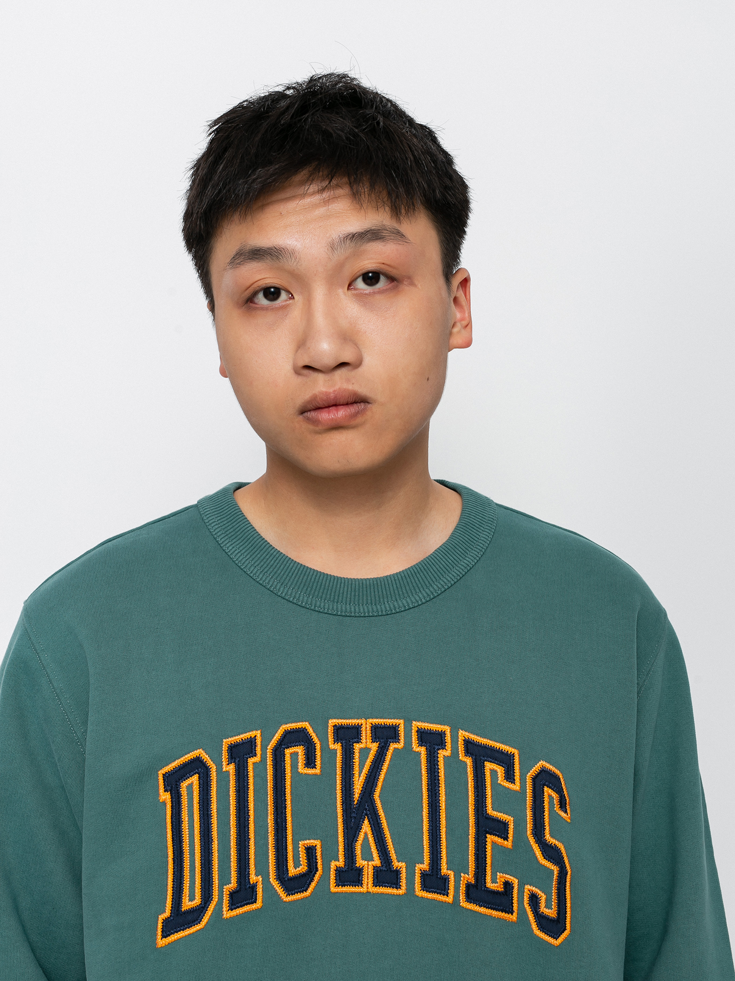 Bluza Dickies Aitkin (lincoln green)