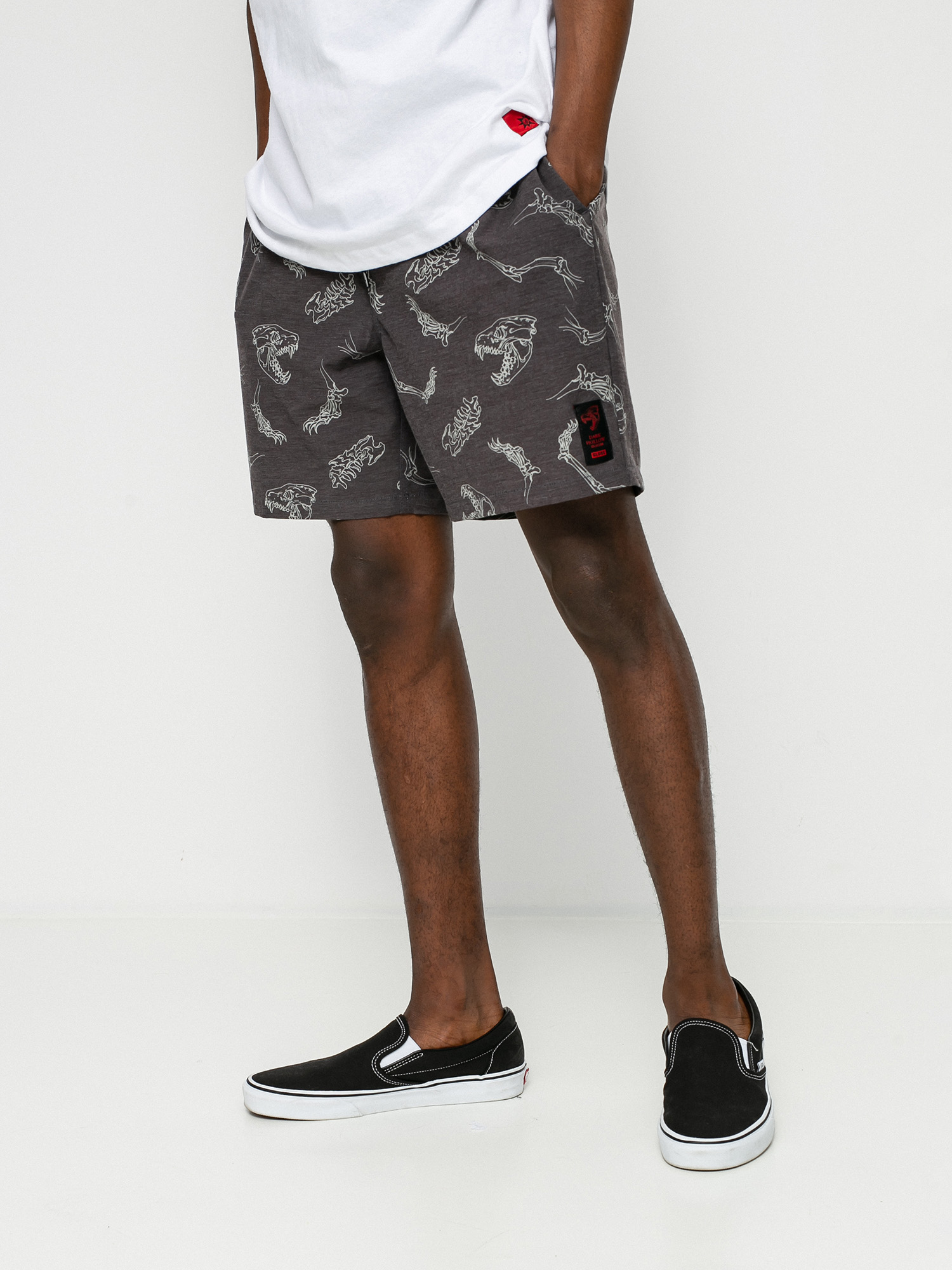 Boardshorty Globe Dion Agius Poolshort (black)