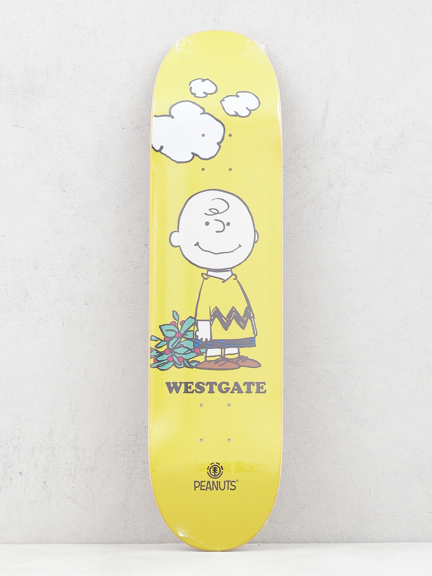 Deck Element Peanuts Charlie B (assorted)