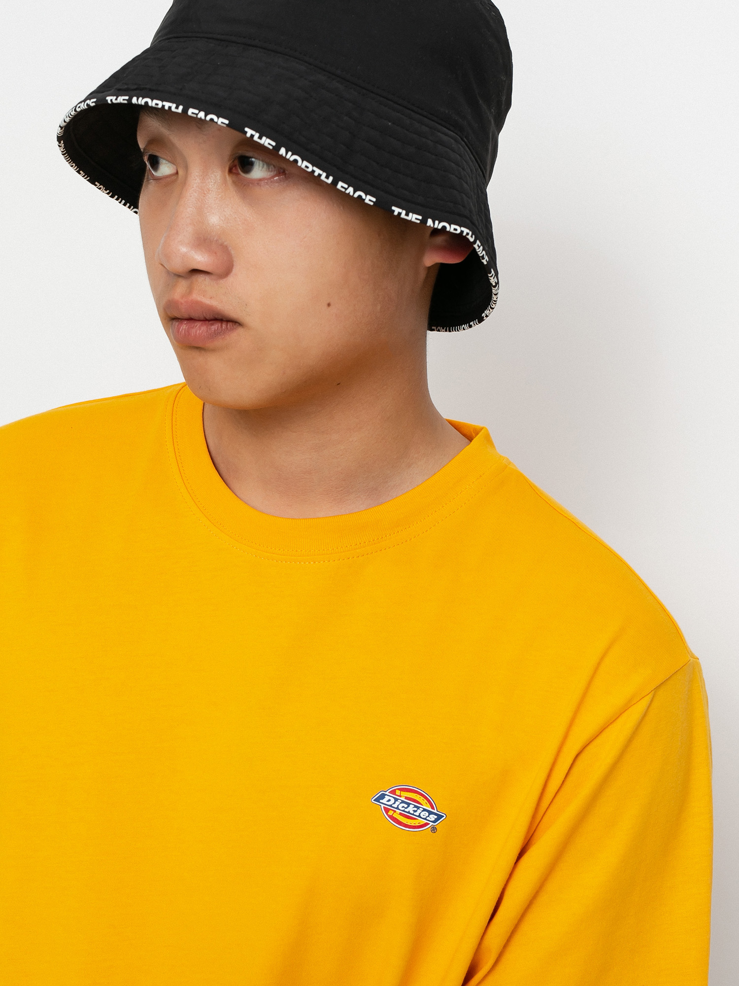 T-shirt Dickies Mapleton (cadnium yellow)