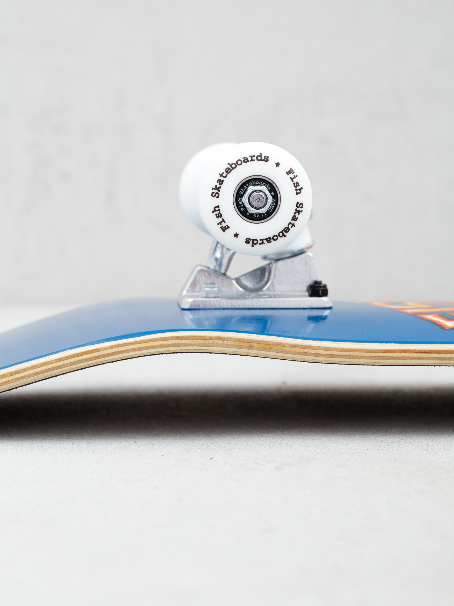 Deskorolka Fish Skateboards Zack Beginner