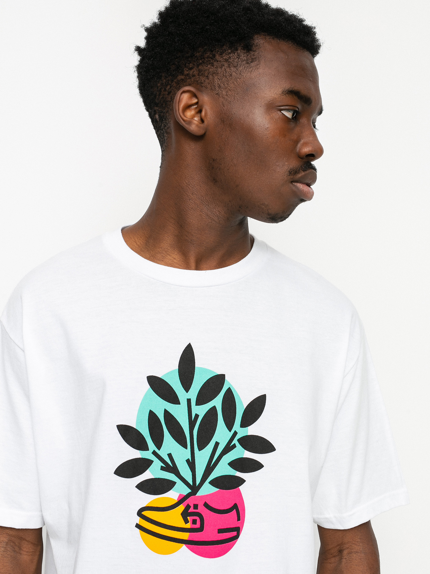 T-shirt Etnies Plant A Tree Tee (white)