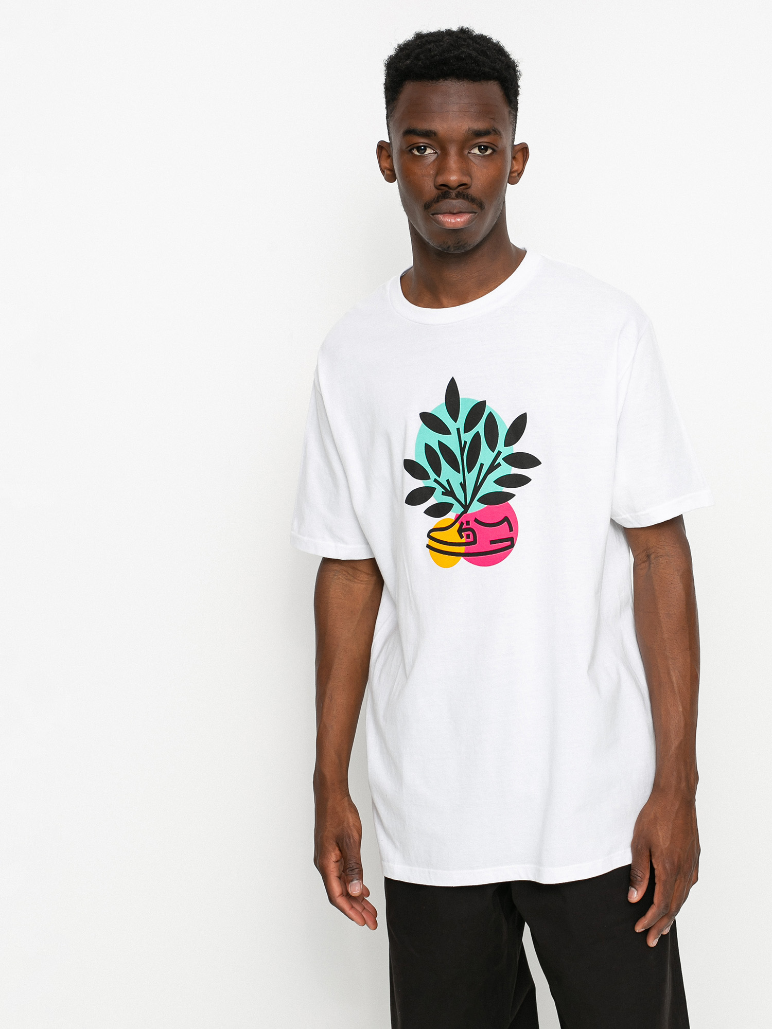T-shirt Etnies Plant A Tree Tee (white)