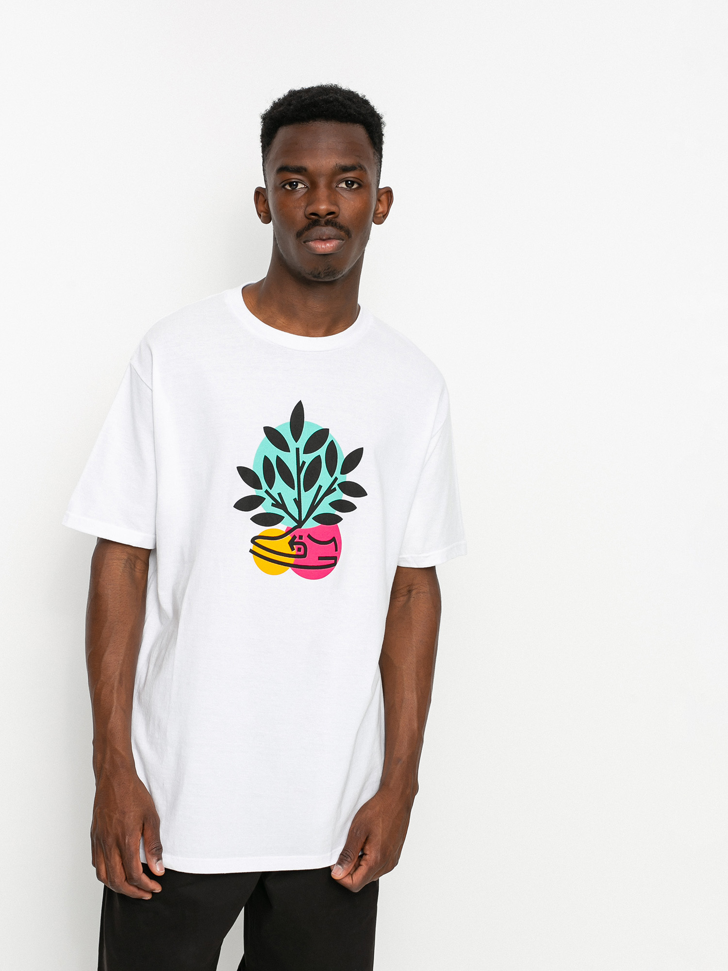 T-shirt Etnies Plant A Tree Tee (white)