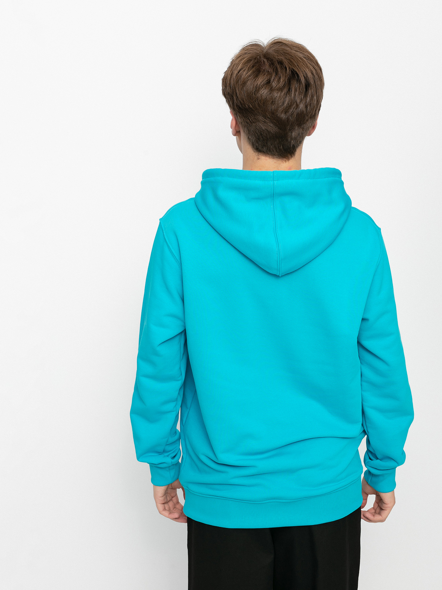 Bluza z kapturem Nervous Classic Small HD (aqua)