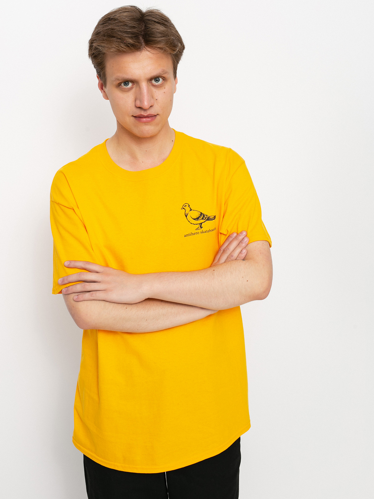 T-shirt Antihero Basic Pigeon (gold/black)