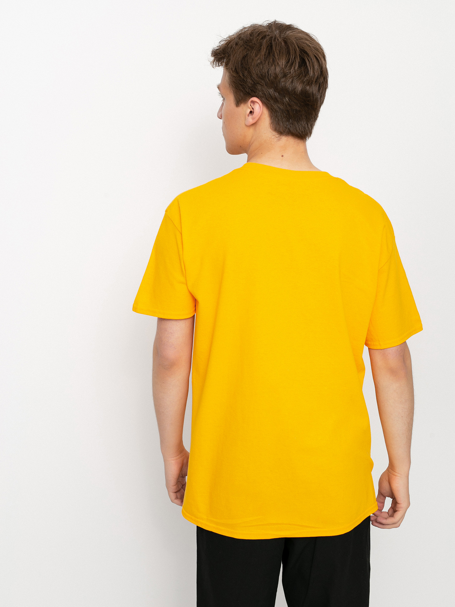 T-shirt Antihero Basic Pigeon (gold/black)