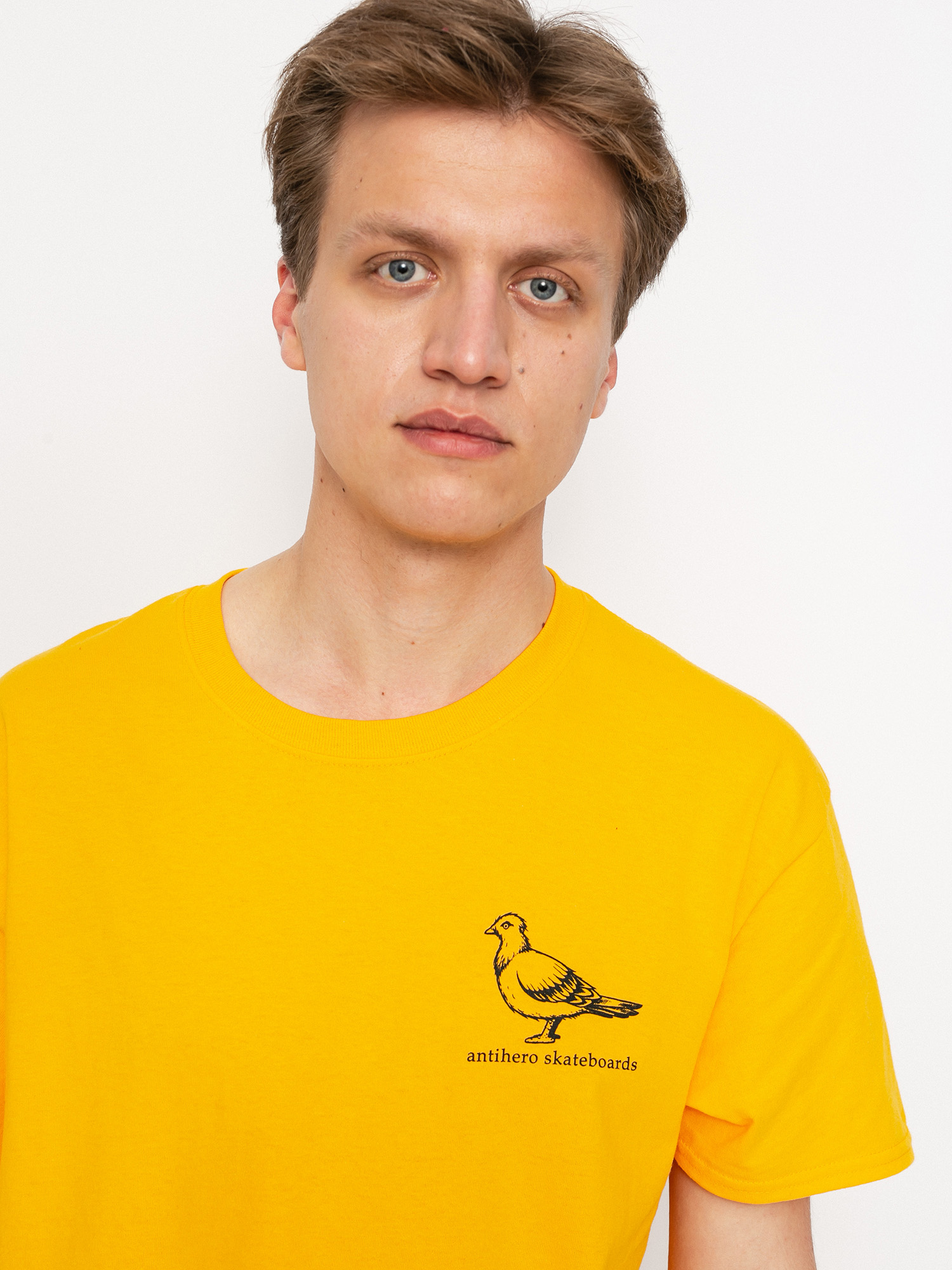 T-shirt Antihero Basic Pigeon (gold/black)