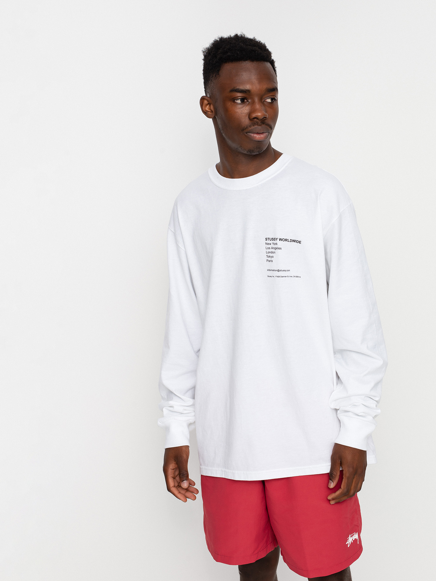 Longsleeve Stussy Modern Leaders (white)