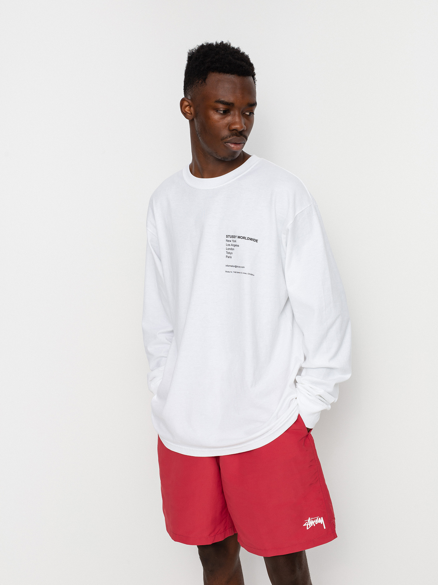 Longsleeve Stussy Modern Leaders (white)