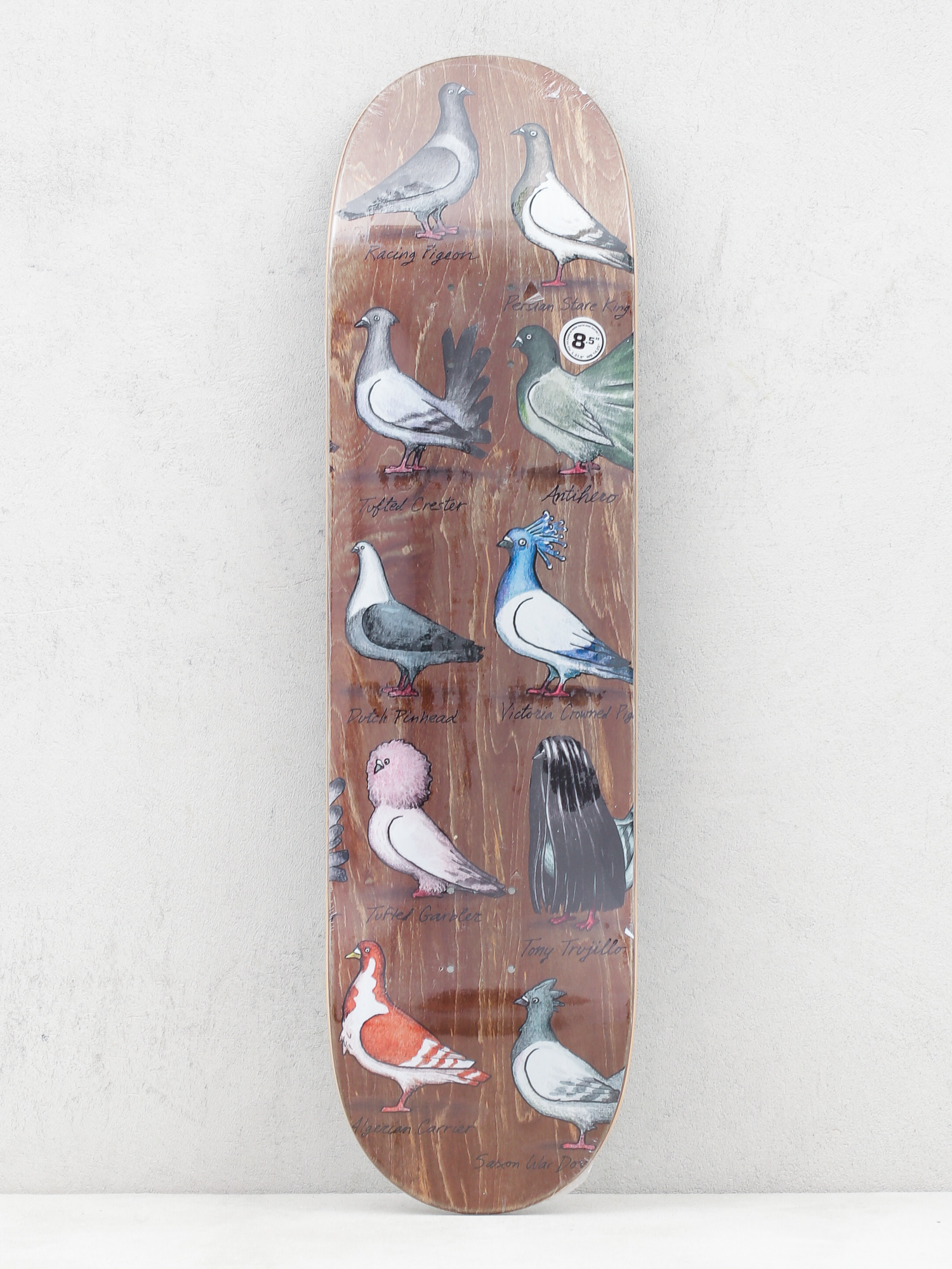 Deck Antihero Trujillo Show Pigeons (brown)