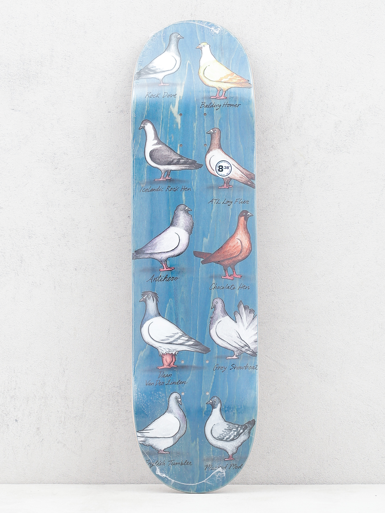 Deck Antihero Daan Show Pigeons (blue)