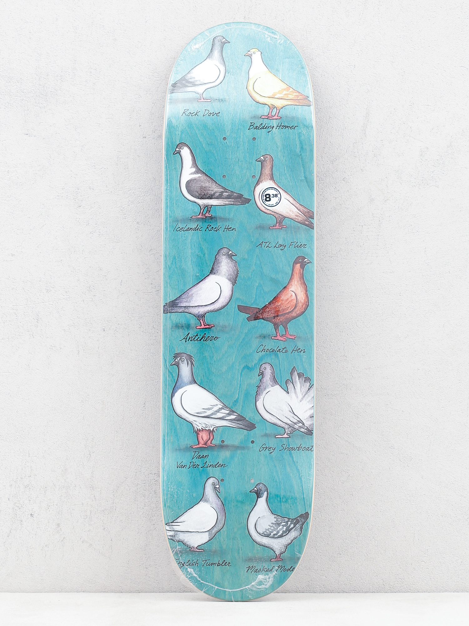 Deck Antihero Daan Show Pigeons (teal)