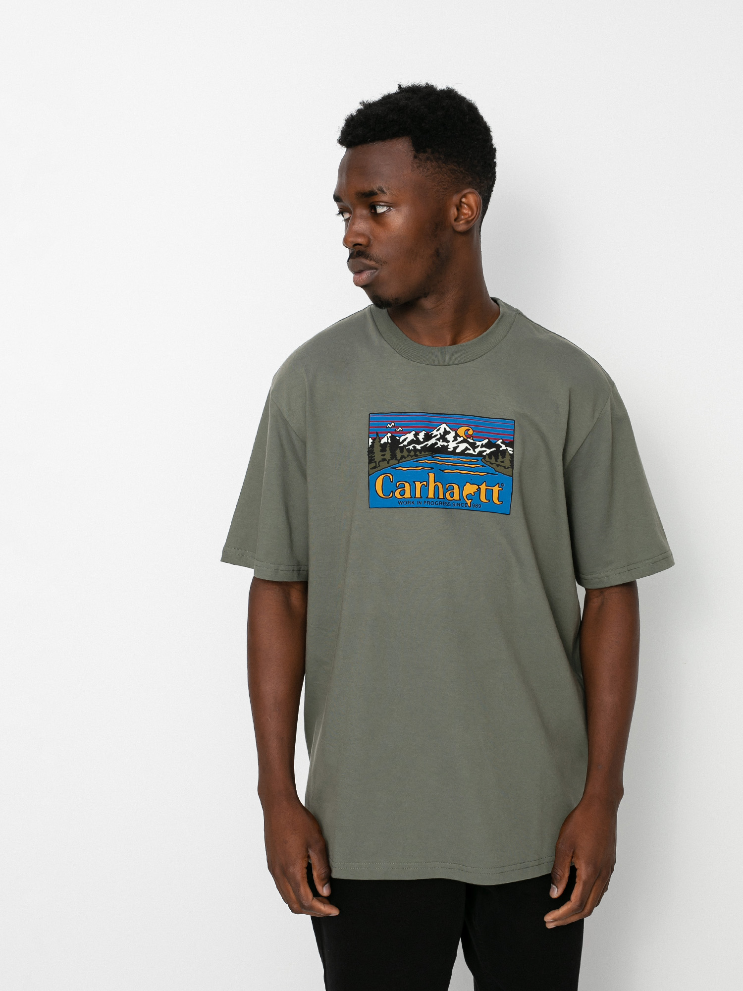 T-shirt Carhartt WIP Great Outdoors (thyme)