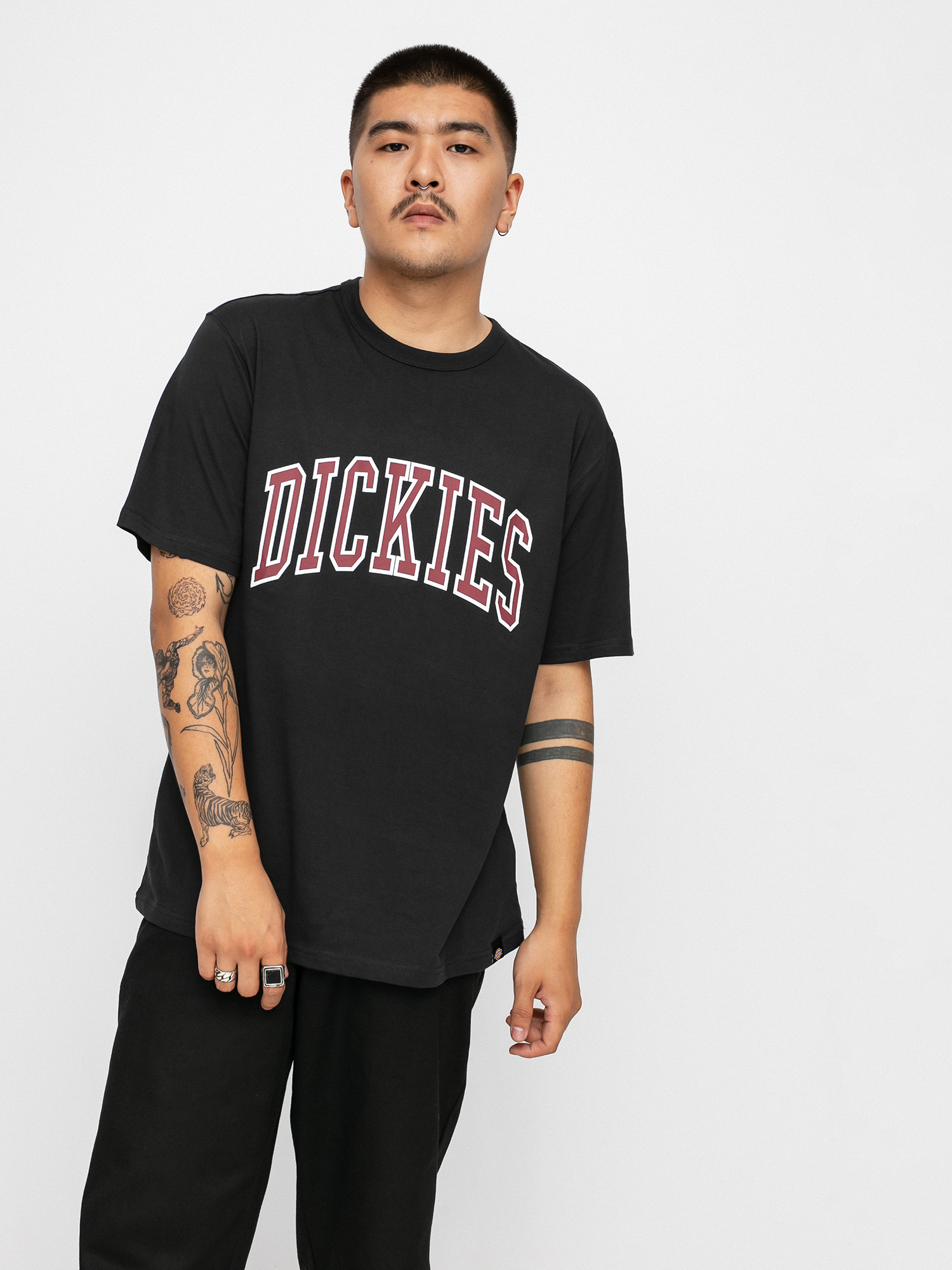 T-shirt Dickies Aitkin (black)