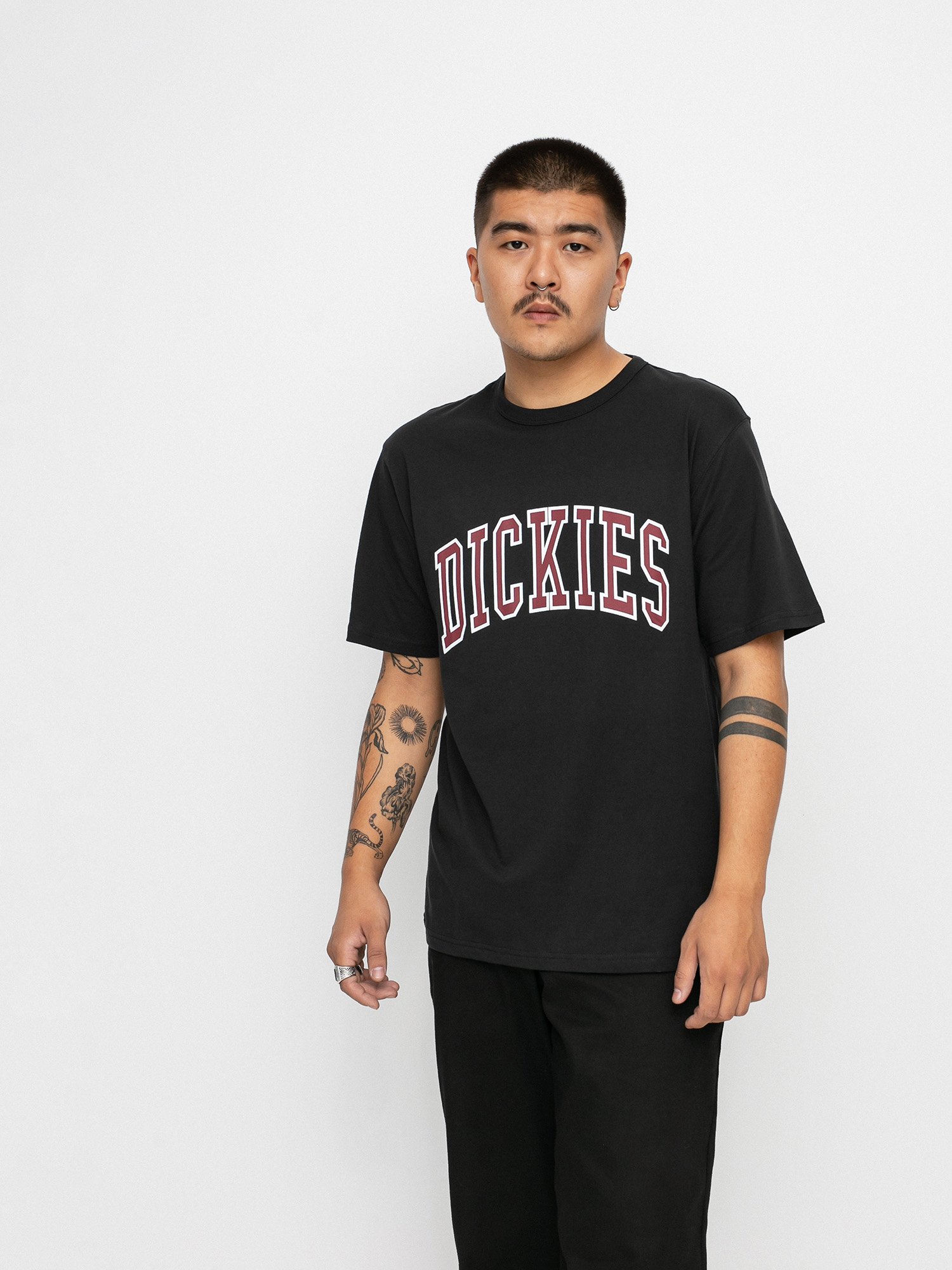 T-shirt Dickies Aitkin (black)