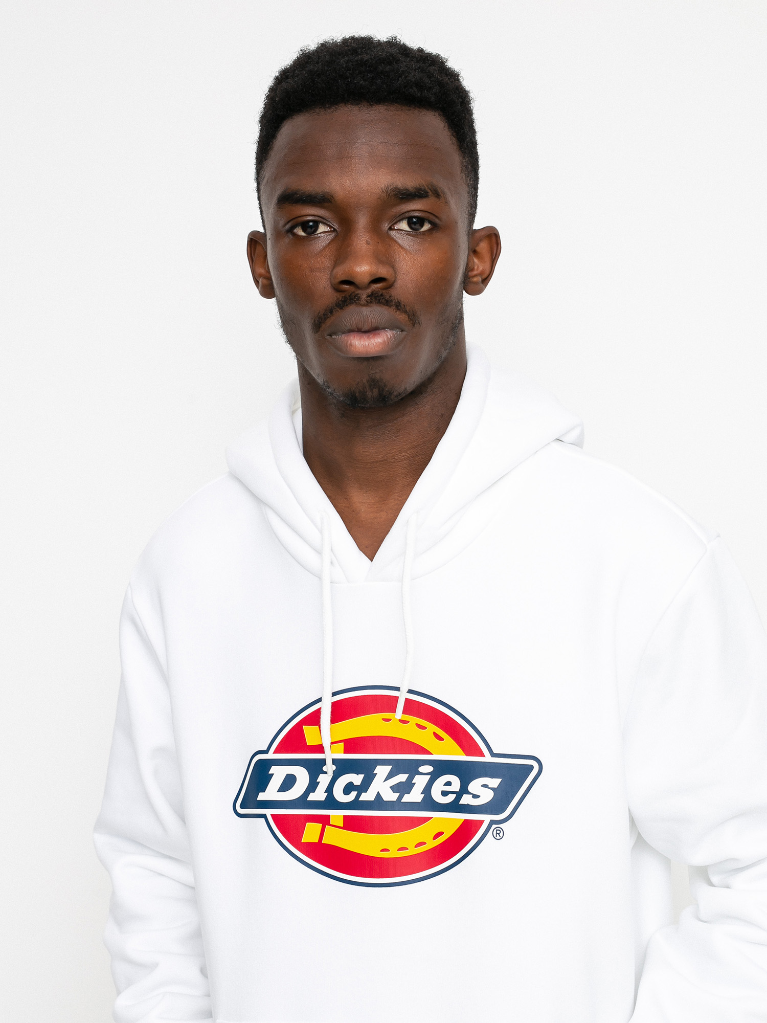 Bluza z kapturem Dickies Icon Logo HD (white)