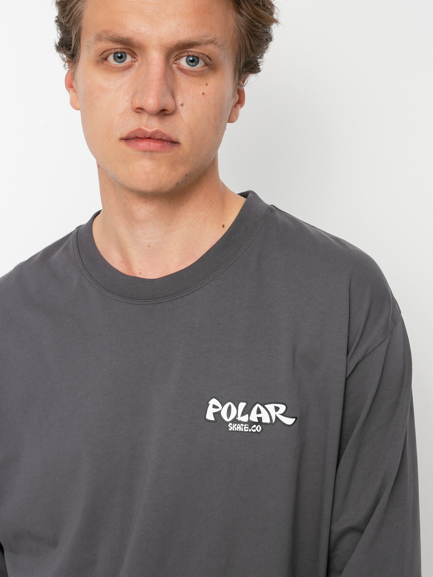 Longsleeve Polar Skate Mt Fuji (graphite)