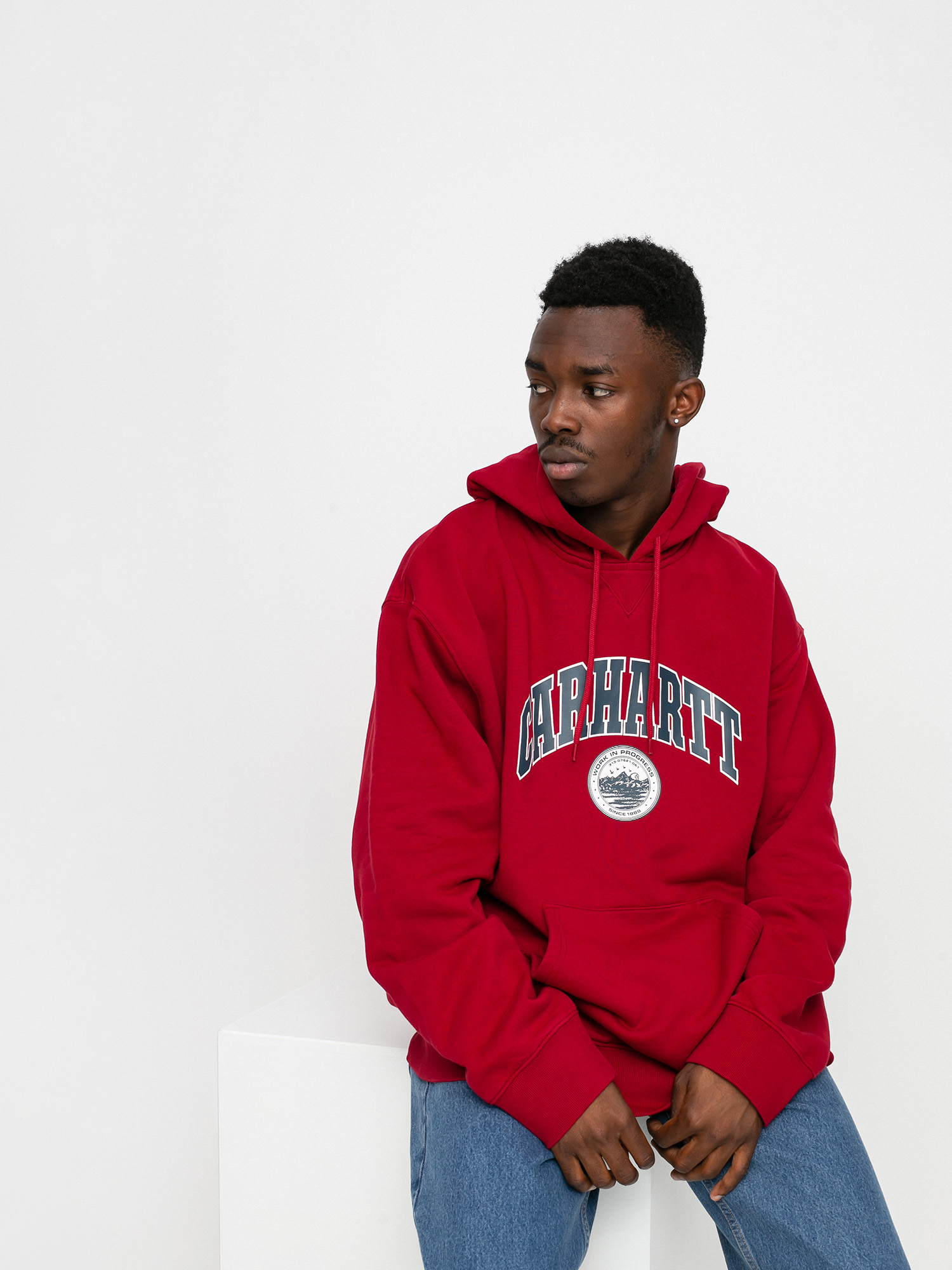 Bluza z kapturem Carhartt WIP Berkeley HD (arrow)