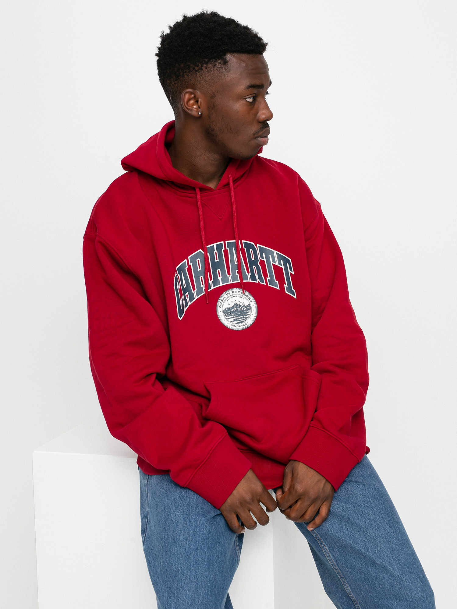 Bluza z kapturem Carhartt WIP Berkeley HD (arrow)