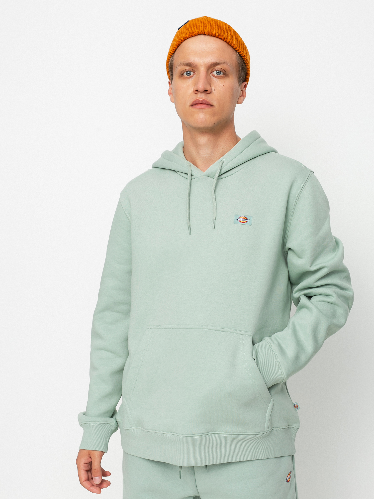 Bluza z kapturem Dickies Oakport HD (jadeite)