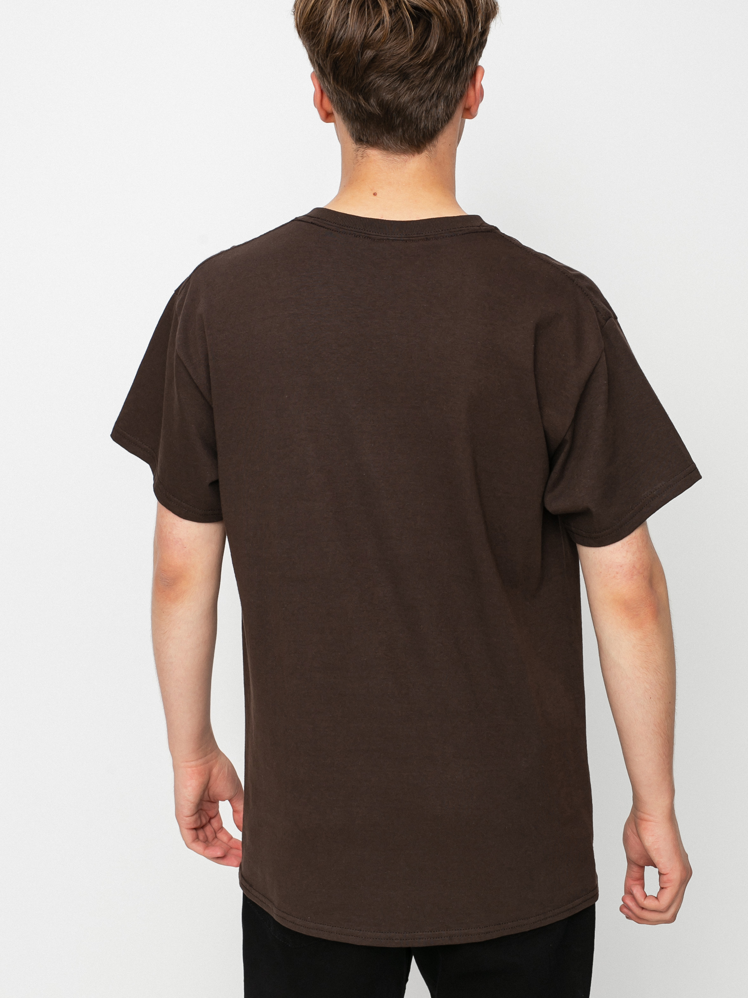 T-shirt Frog Skateboards My Brain is Fried (brown)