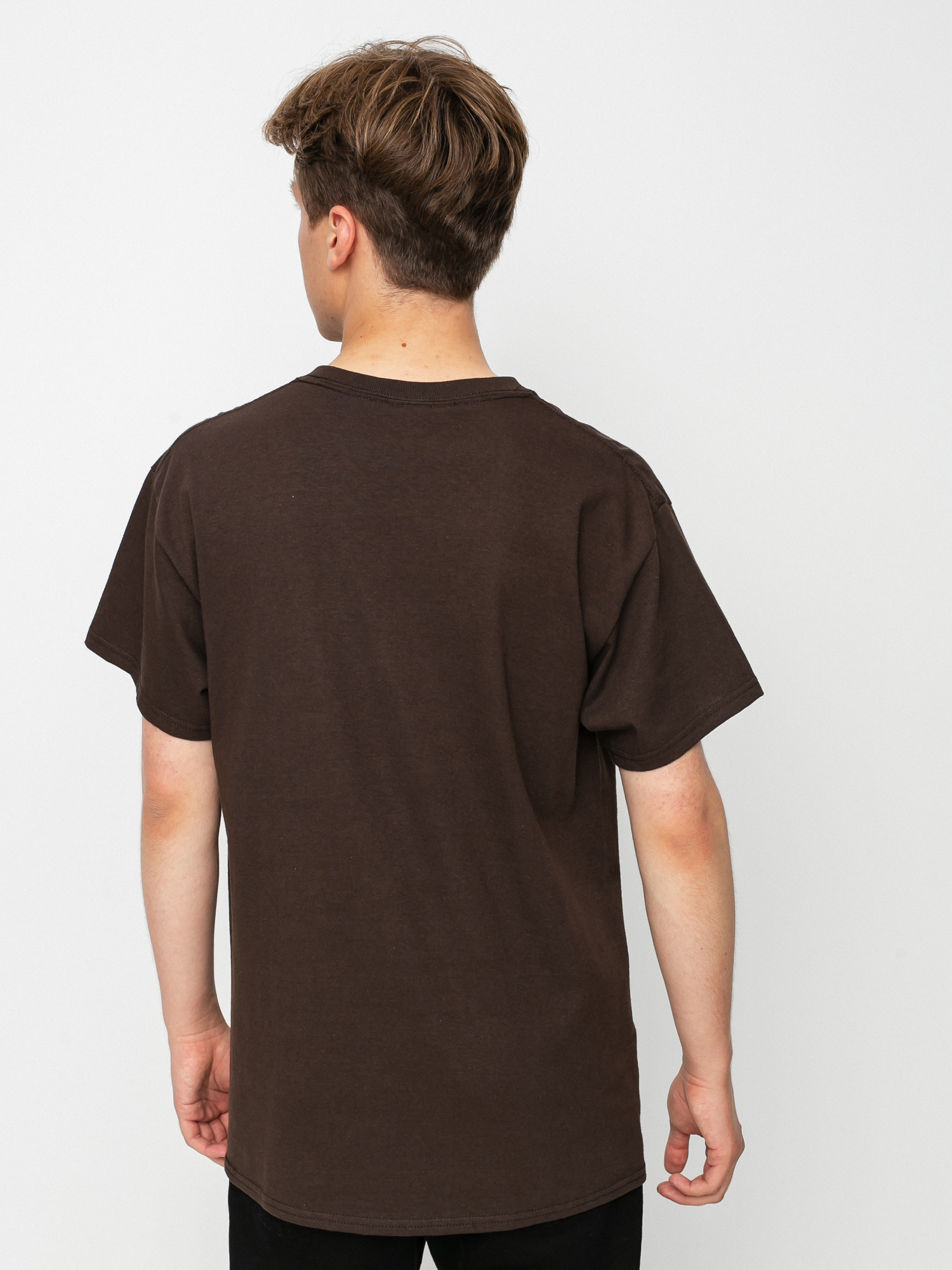 T-shirt Frog Skateboards My Brain is Fried (brown)