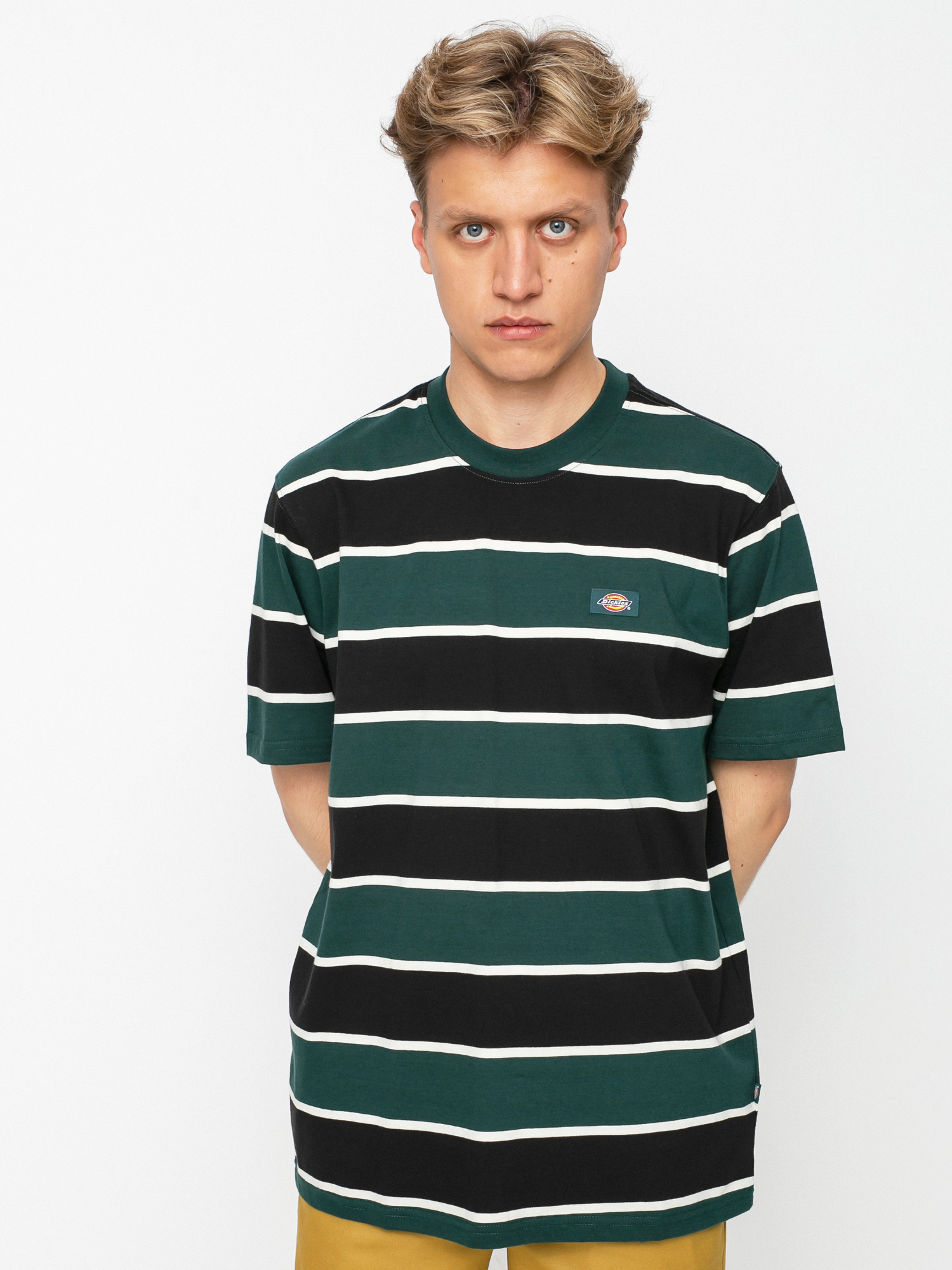 T-shirt Dickies Oakhaven (ponderosa pine)