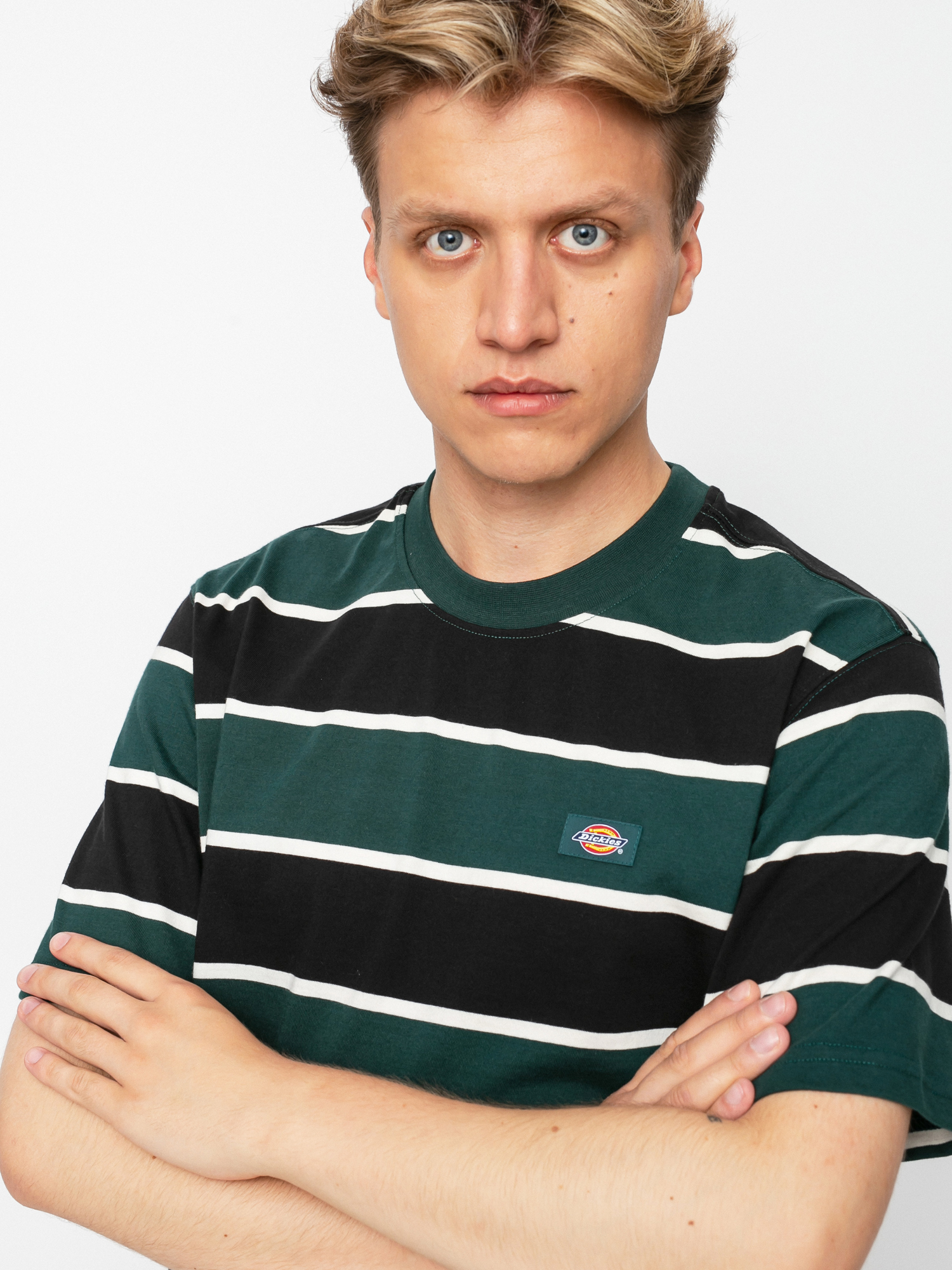 T-shirt Dickies Oakhaven (ponderosa pine)