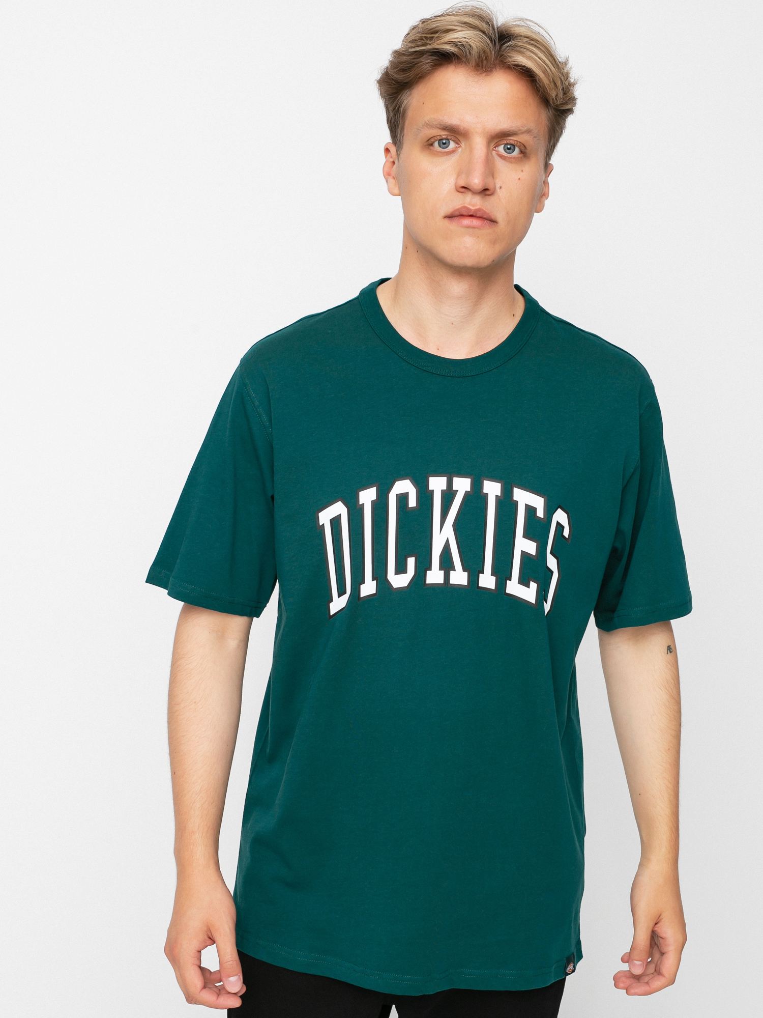 T-shirt Dickies Aitkin (ponderosa pine)