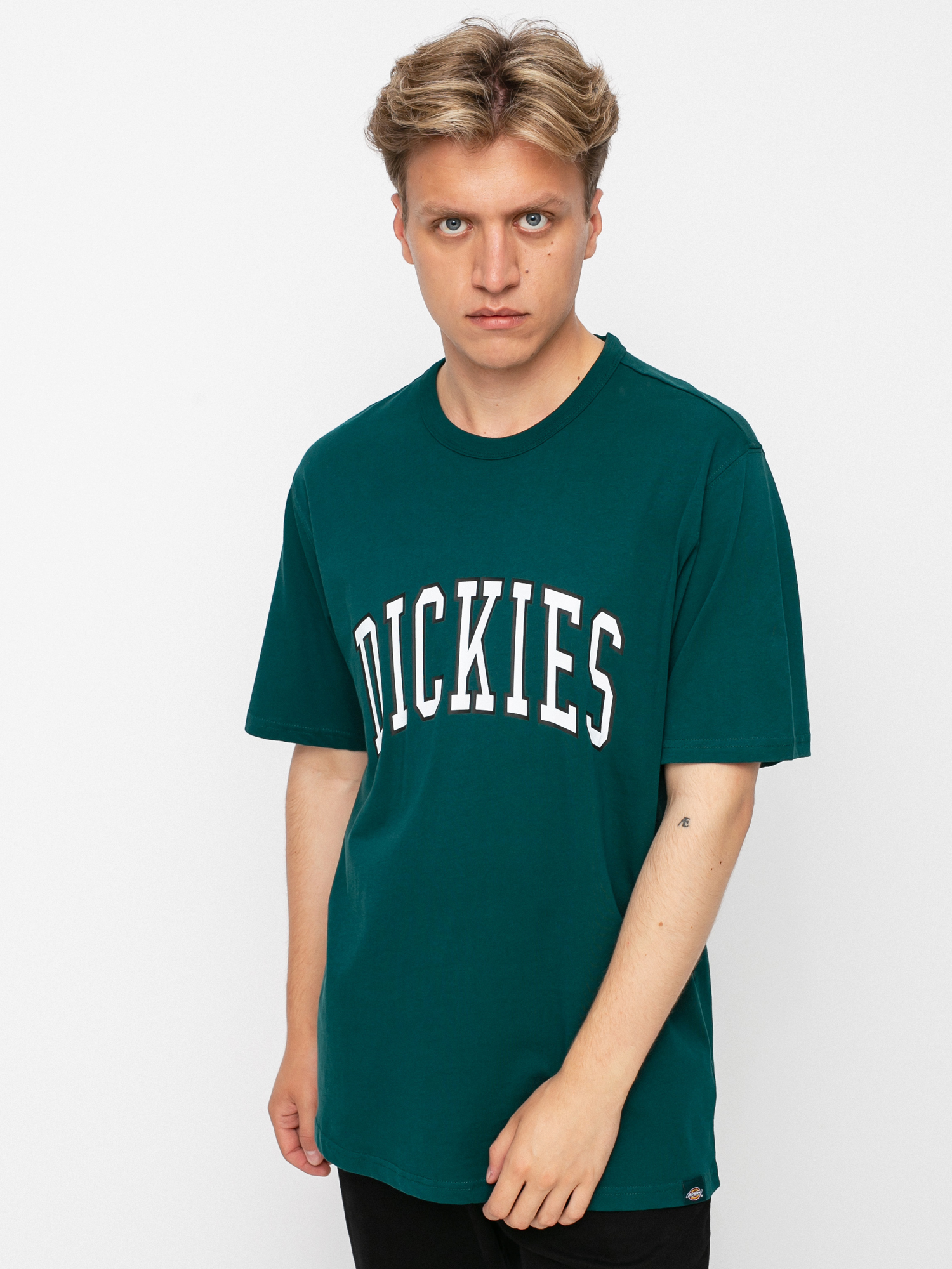 T-shirt Dickies Aitkin (ponderosa pine)