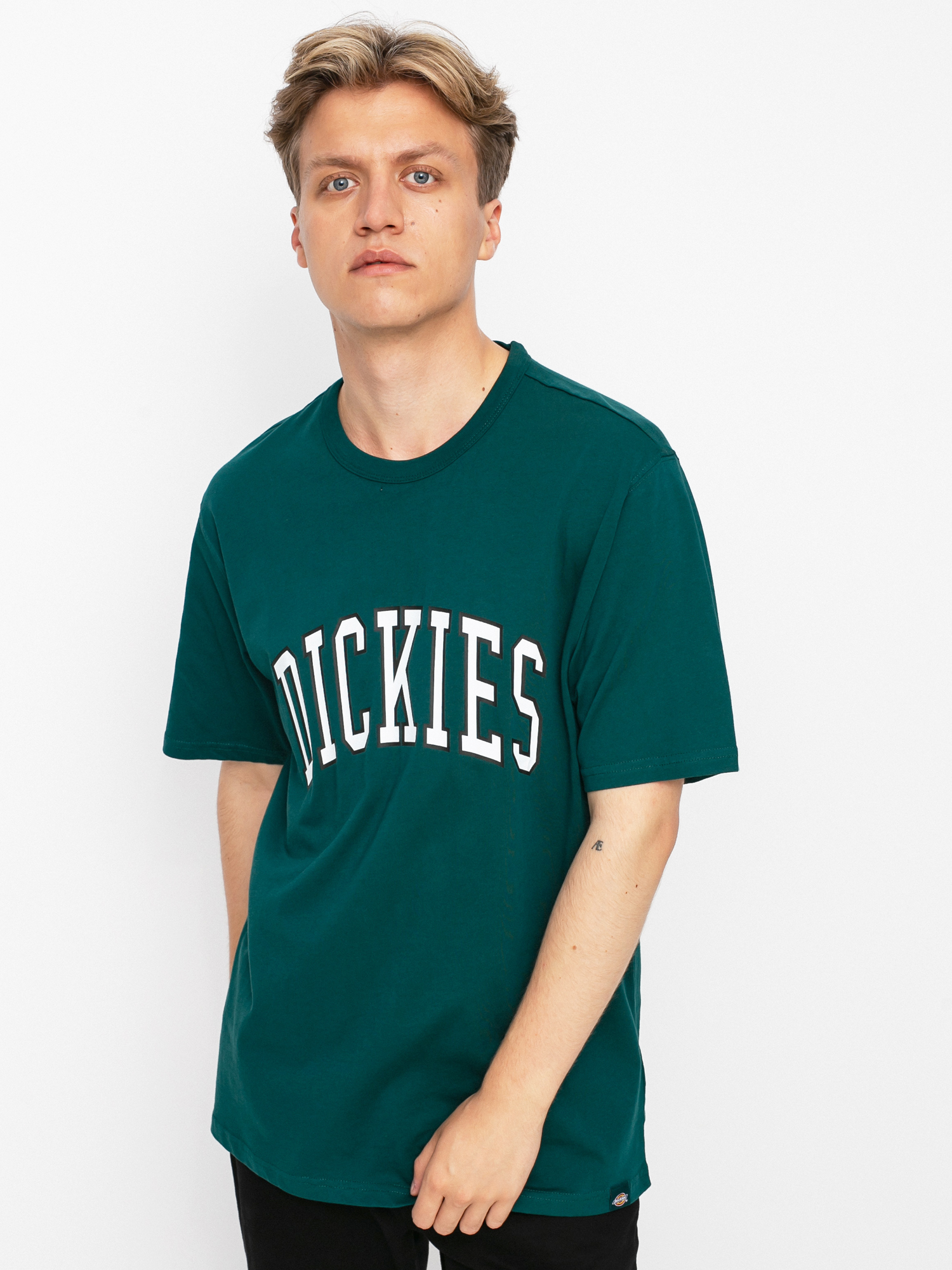T-shirt Dickies Aitkin (ponderosa pine)