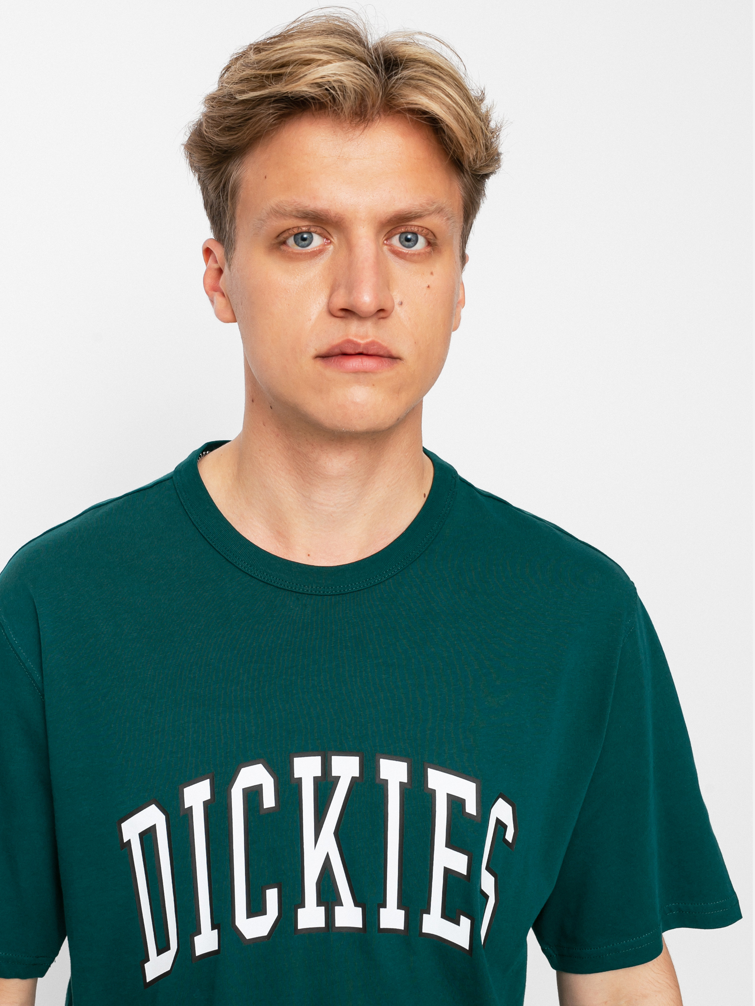 T-shirt Dickies Aitkin (ponderosa pine)