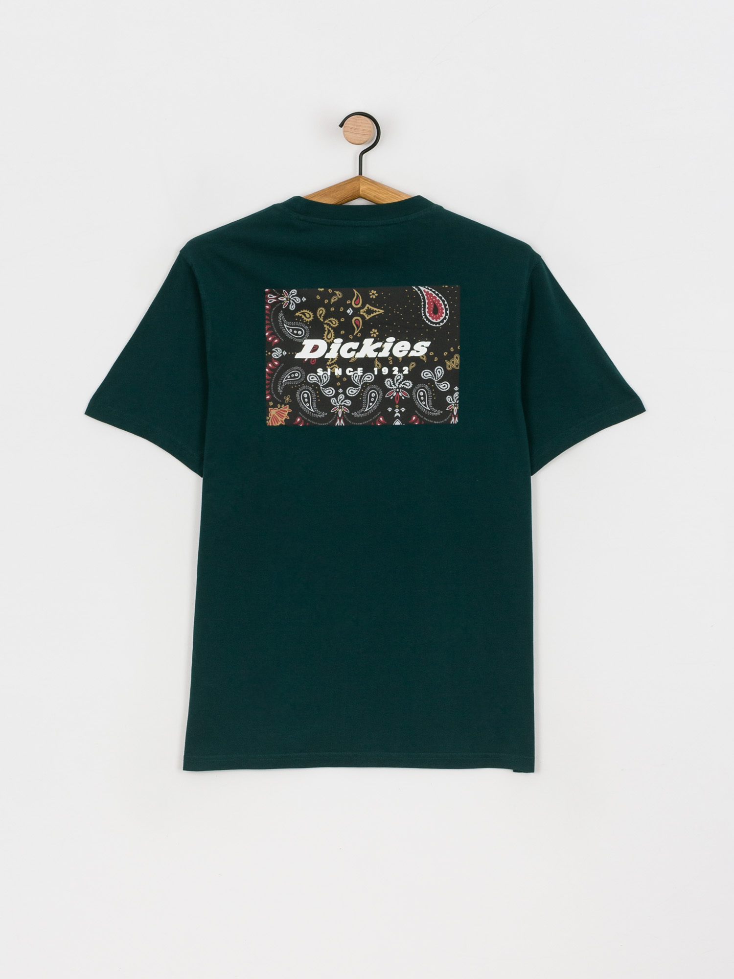 T-shirt Dickies Reworked (ponderosa pine)