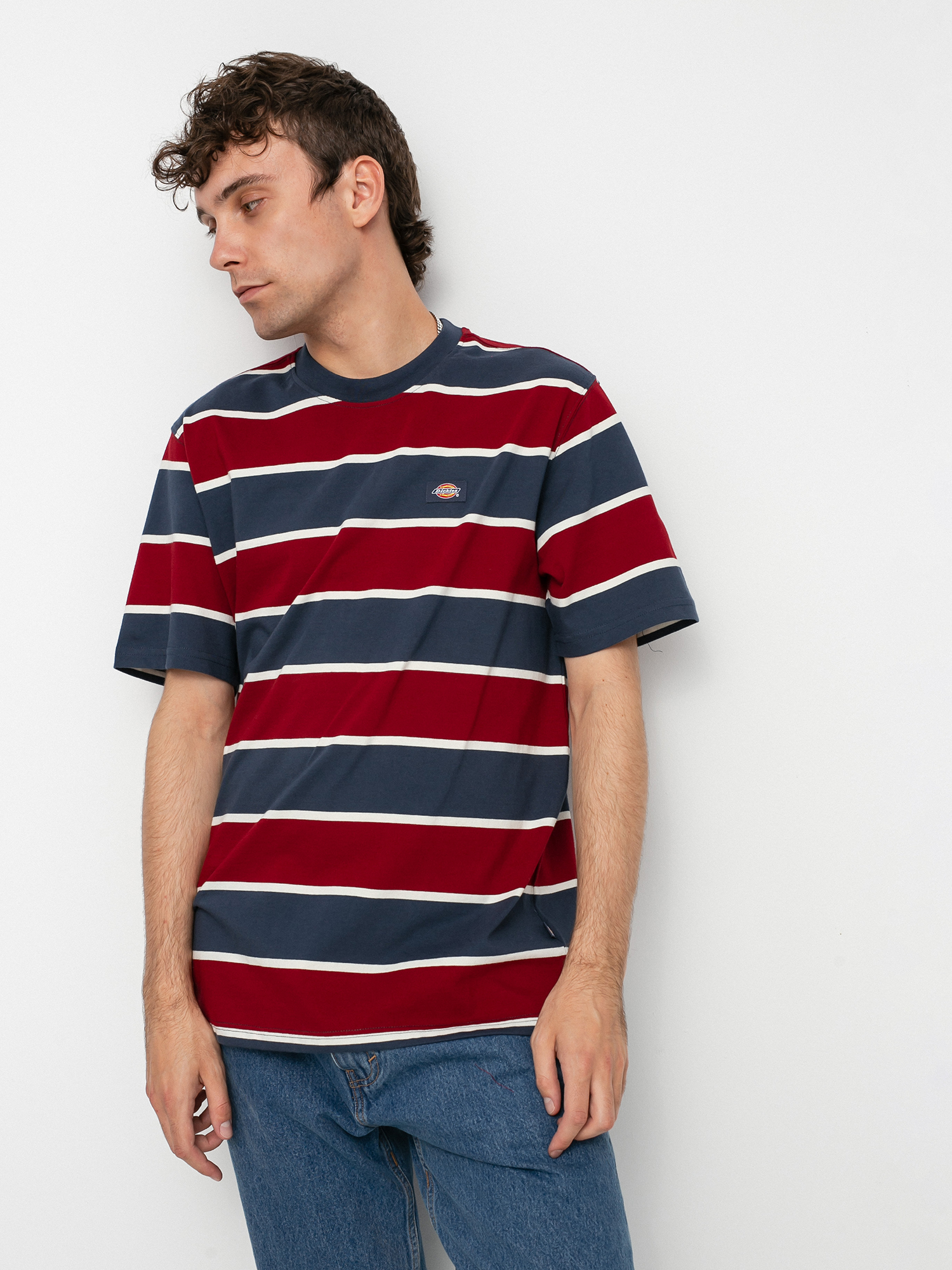 T-shirt Dickies Oakhaven (navy blue)