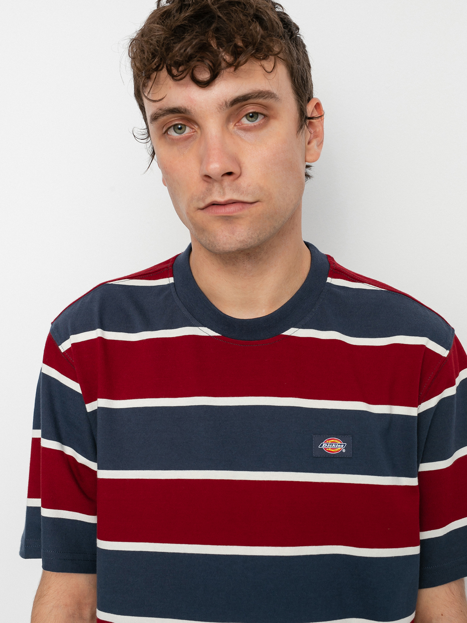 T-shirt Dickies Oakhaven (navy blue)