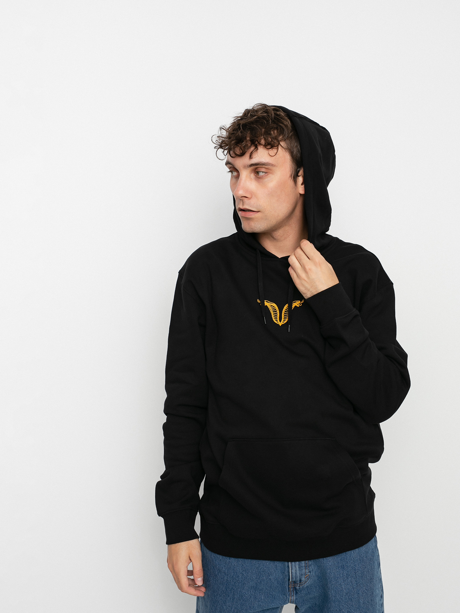 Bluza z kapturem Vans Off The Wall Gallery Nathan K HD (black)