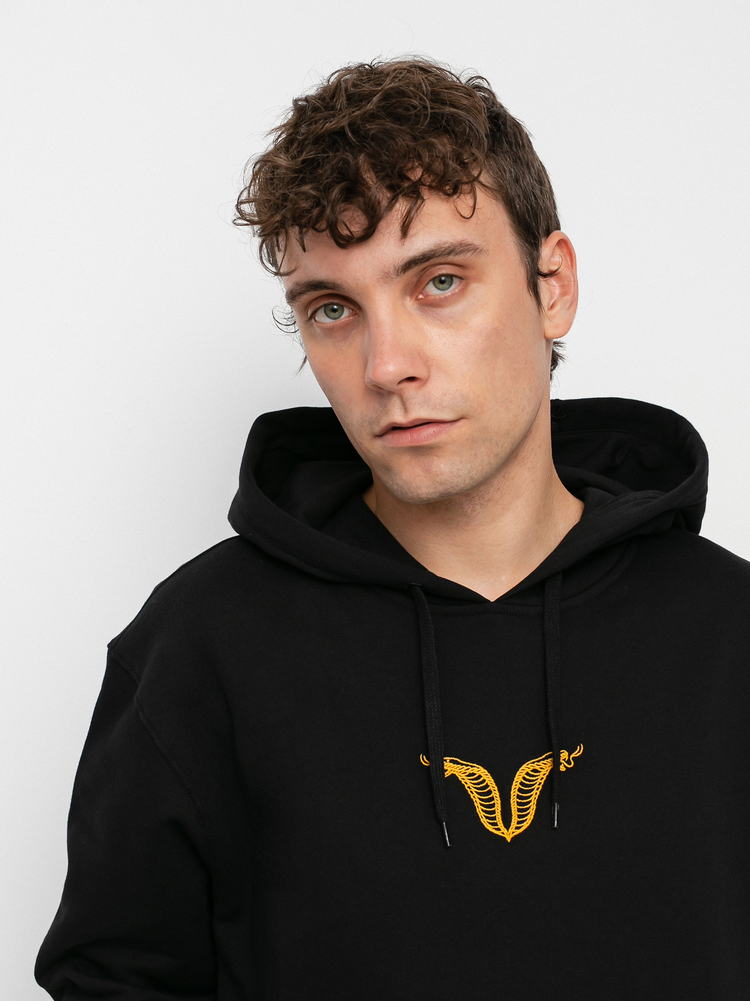 Bluza z kapturem Vans Off The Wall Gallery Nathan K HD (black)