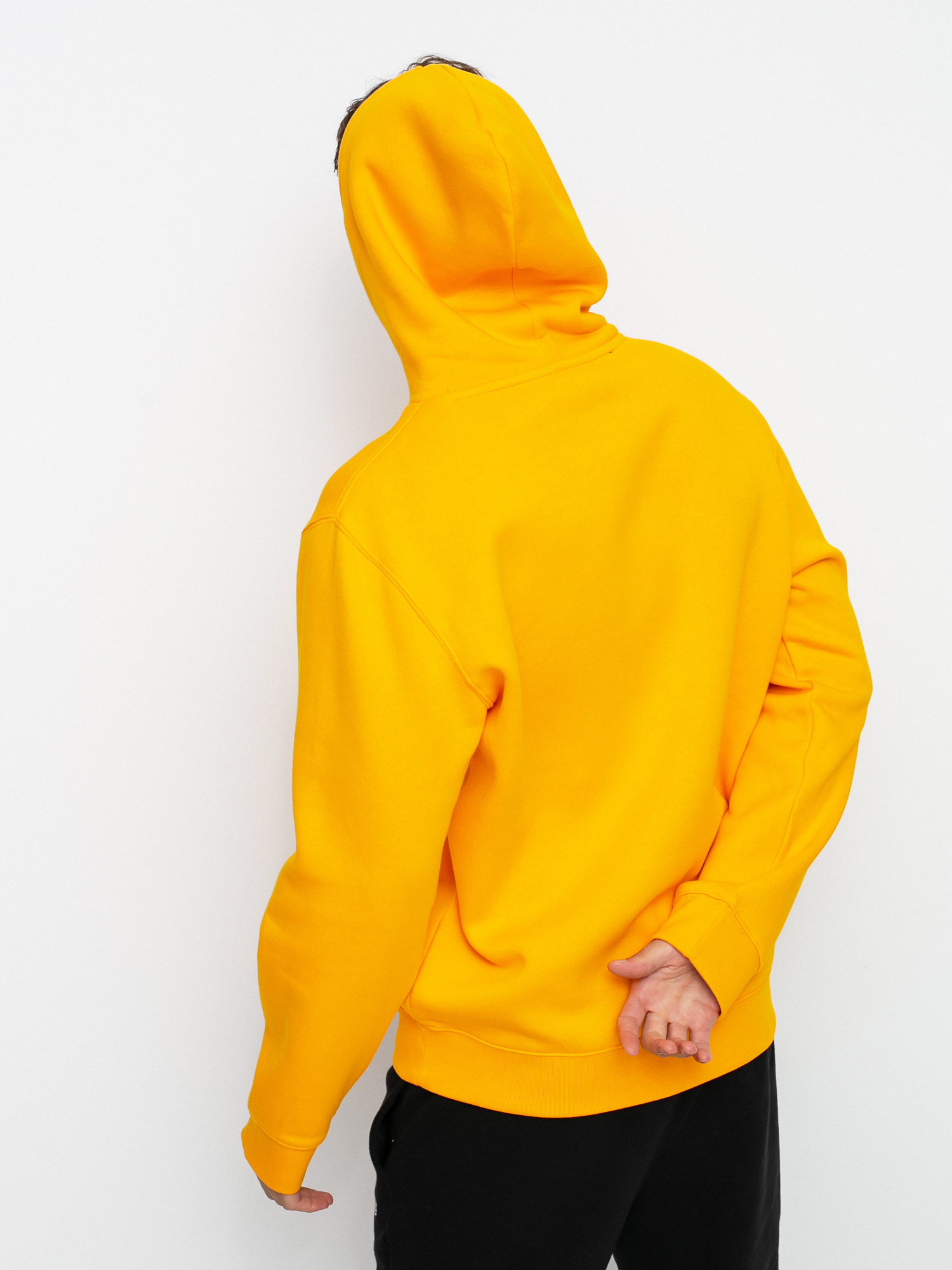 Bluza z kapturem Champion Legacy Sweatshirt HD 214743 (gld)