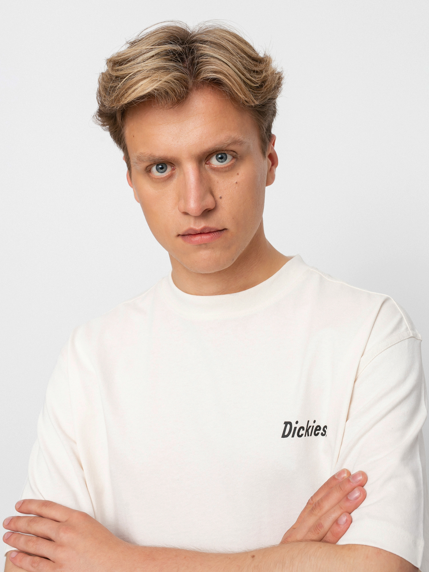 T-shirt Dickies Bettles (ecru)